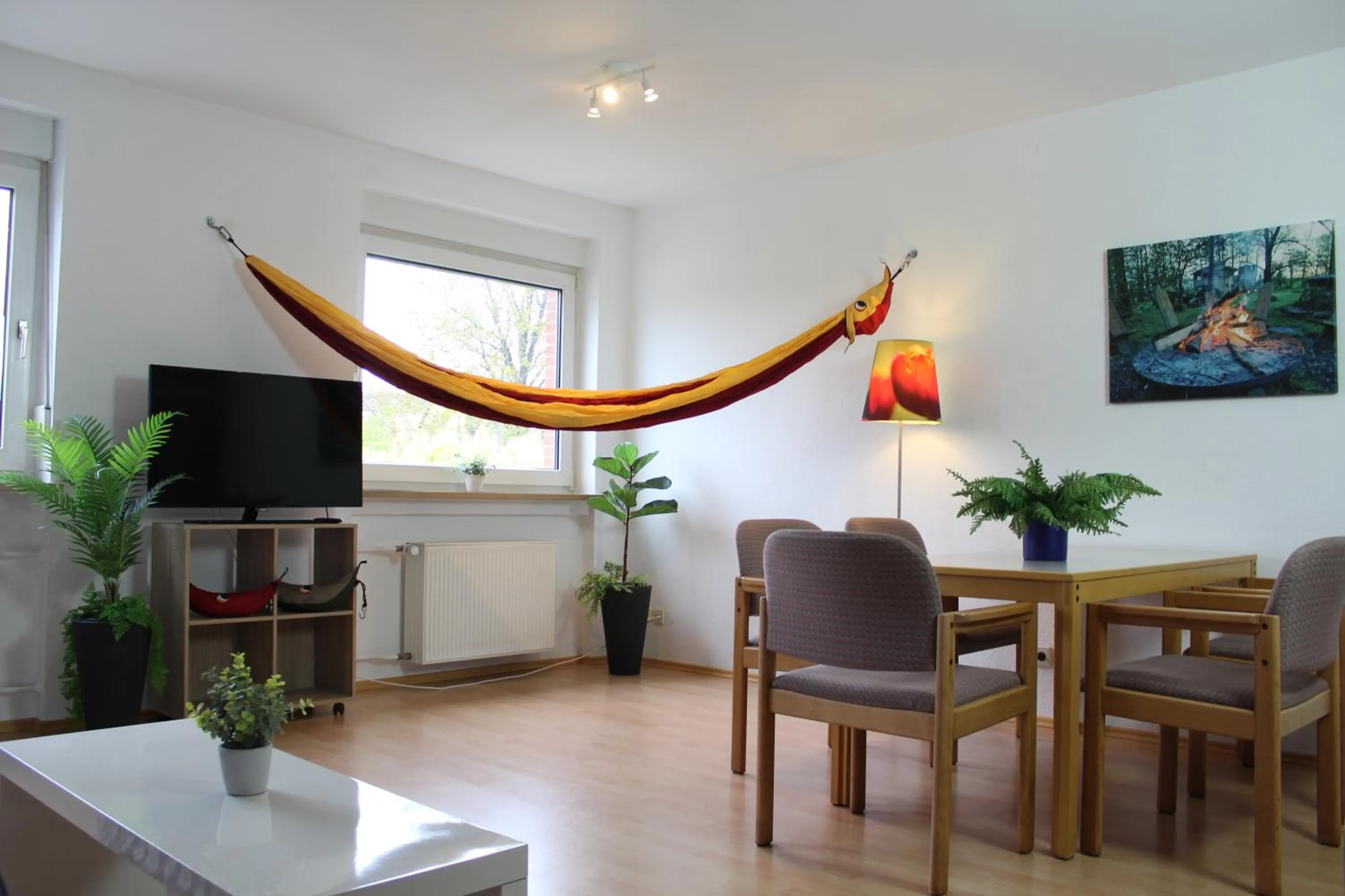 TV and multimedia in Adventure Campus