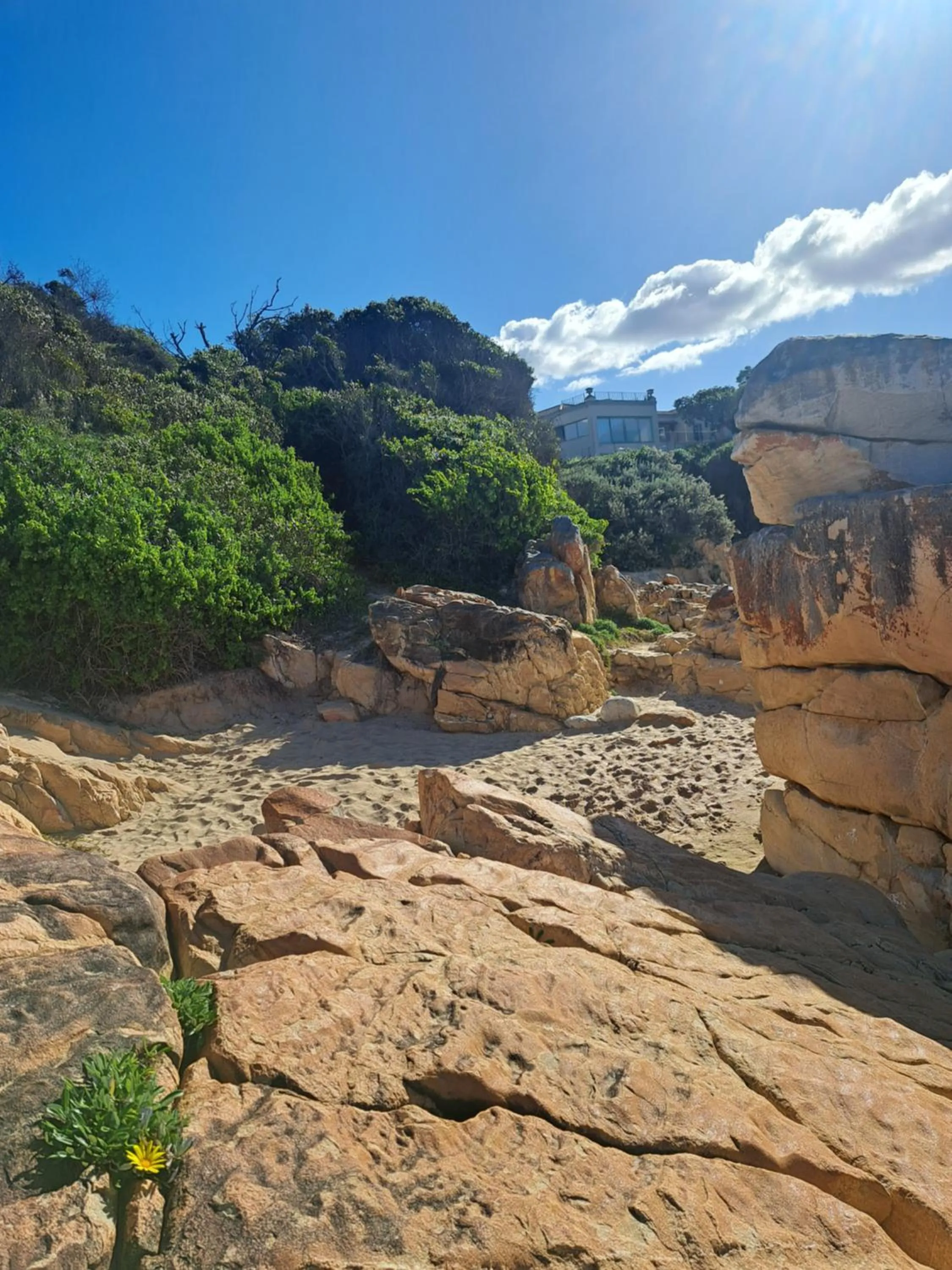 Natural landscape in Thanda Vista