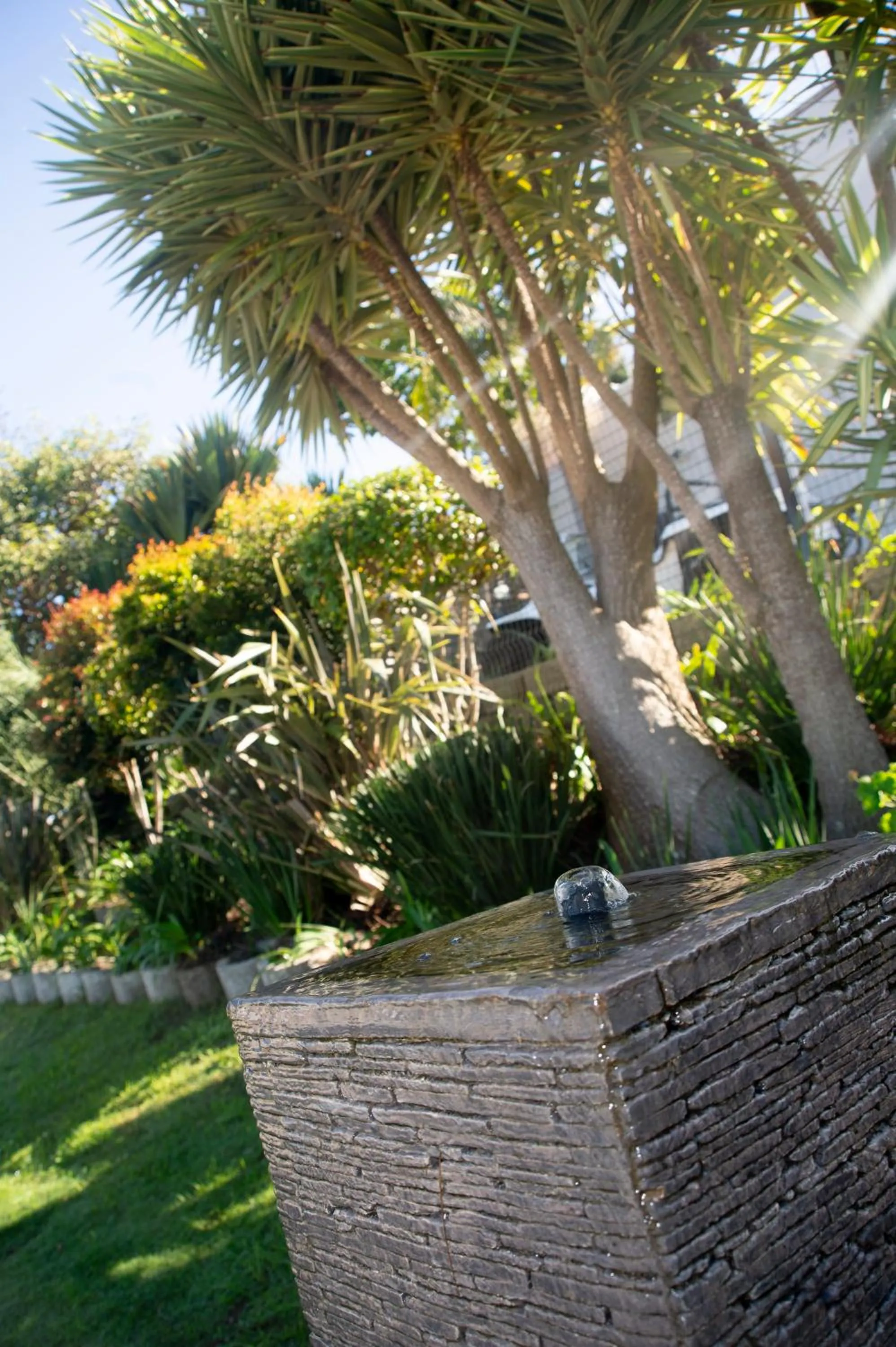 Spring in Thanda Vista