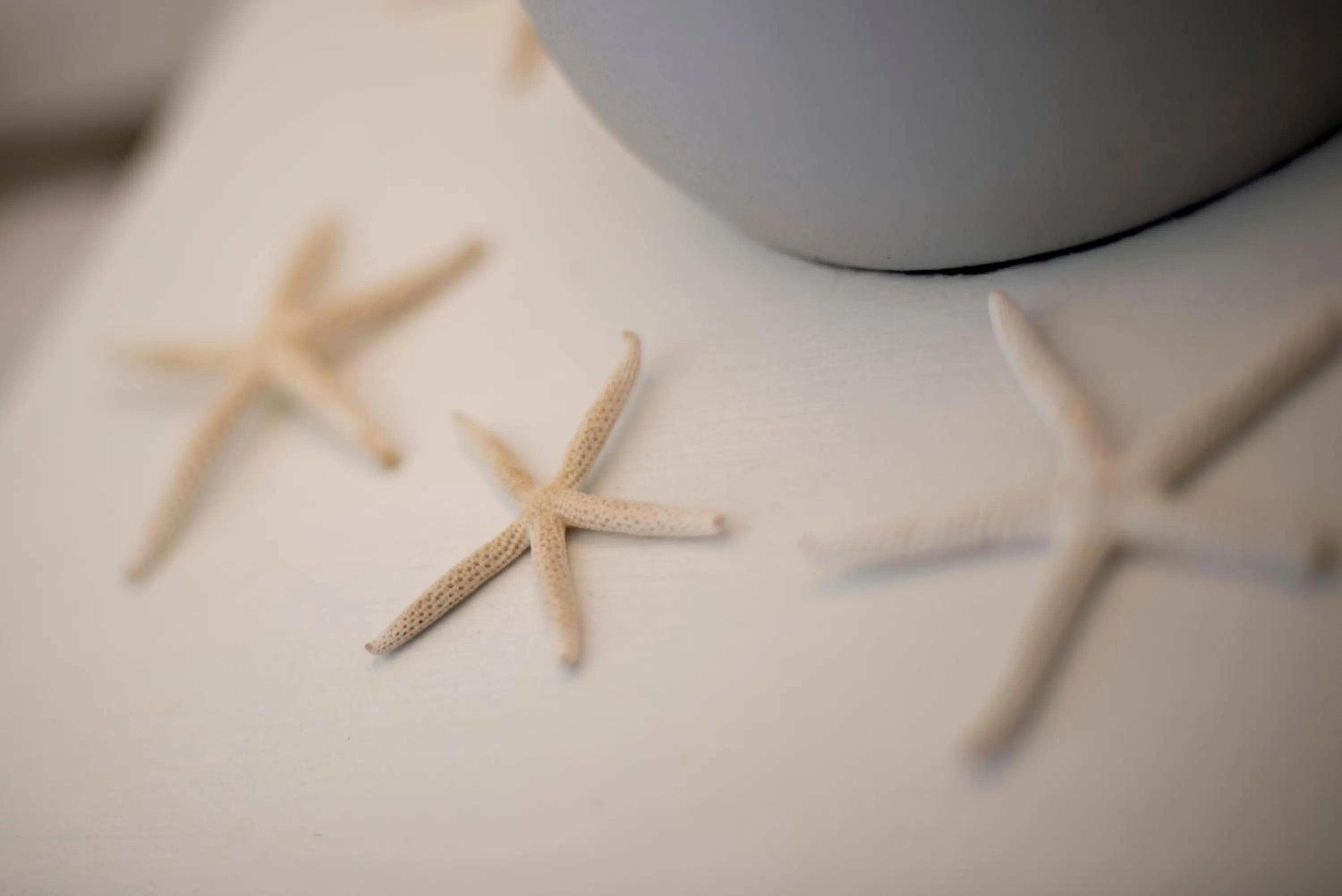 Decorative detail in Thanda Vista