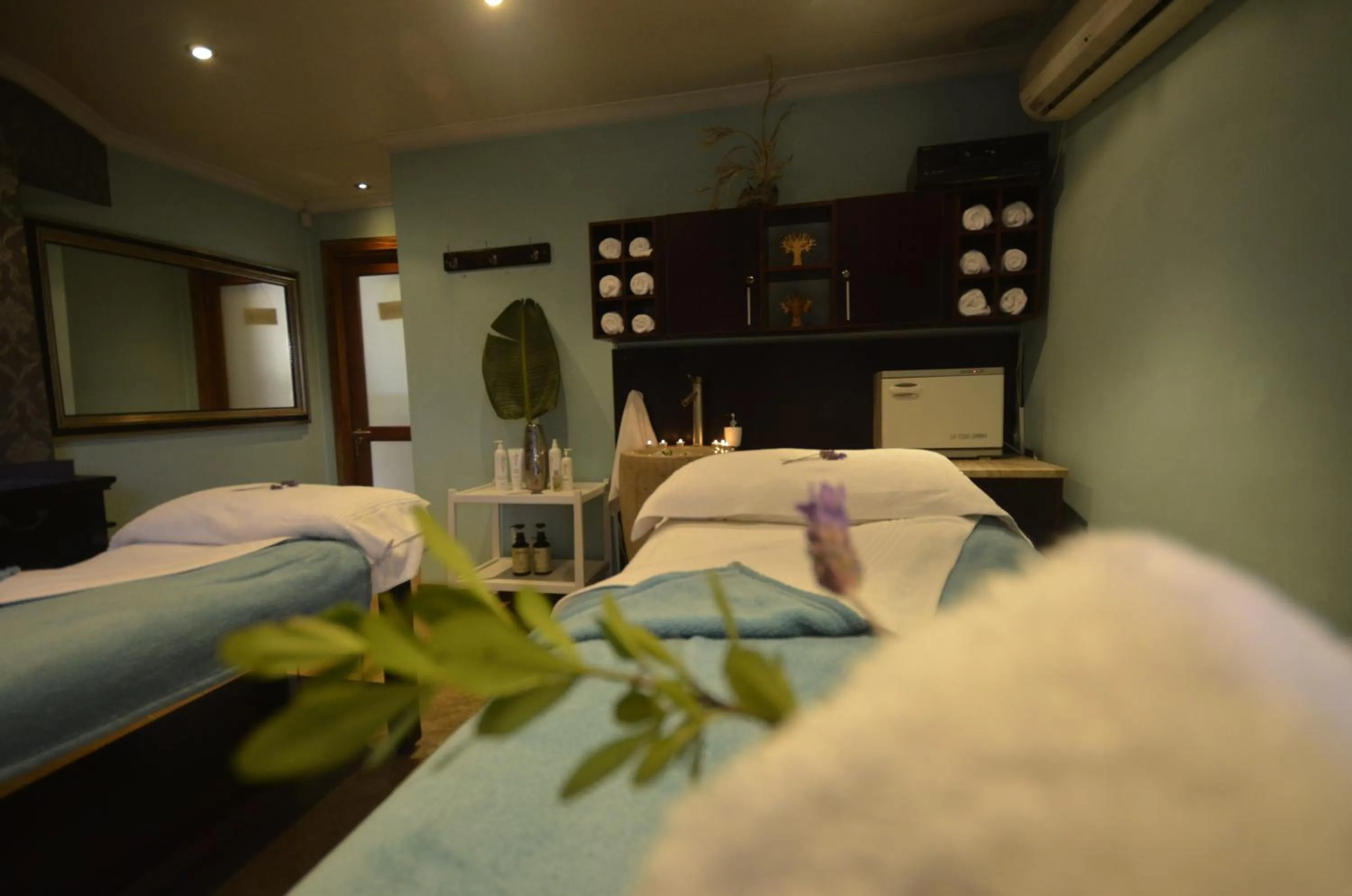 Activities, Bed in Whalesong Hotel & Spa