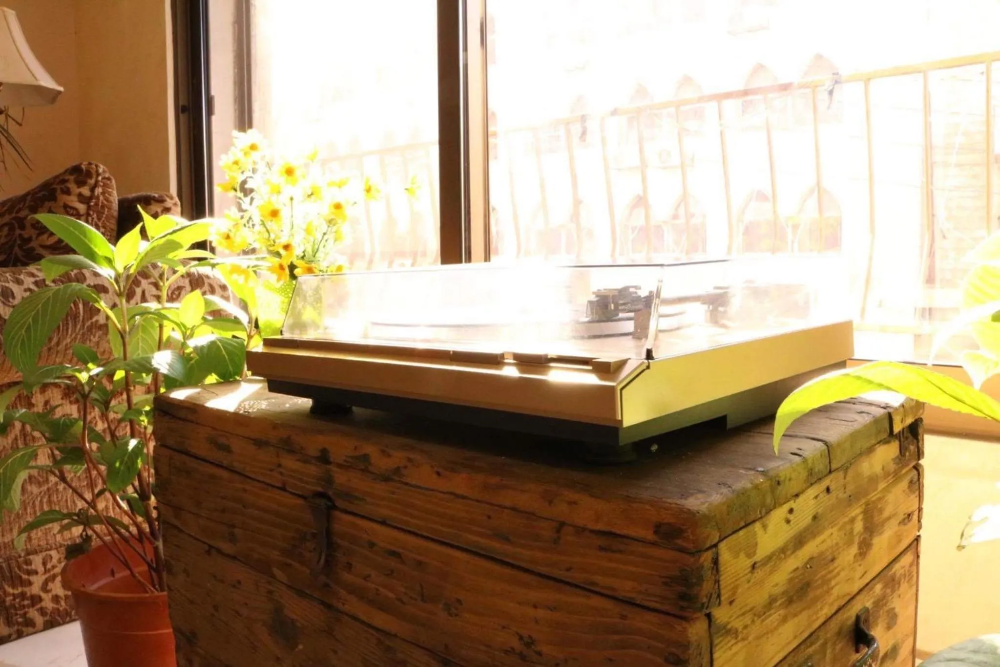 Lobby or reception in Rafi Hotel