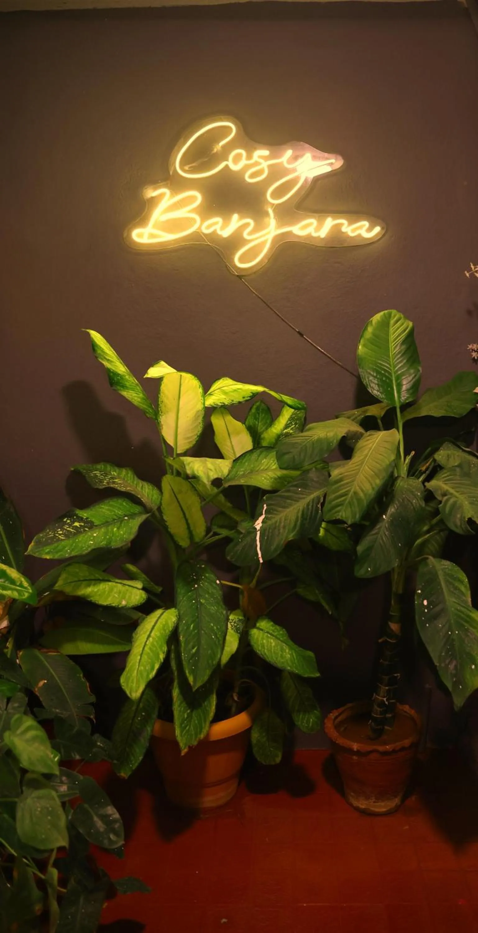 Cosy Banjara Guest House