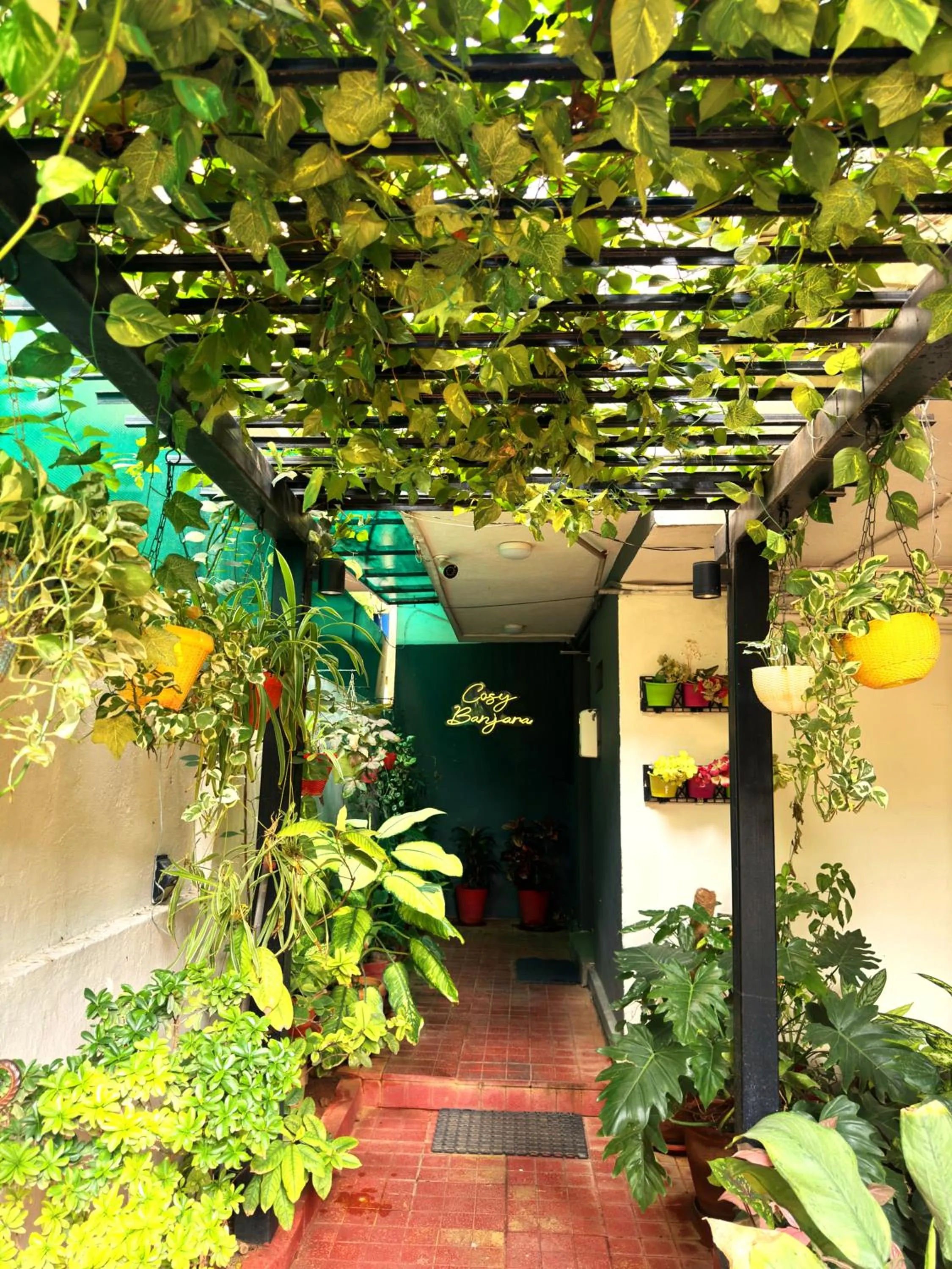Cosy Banjara Guest House