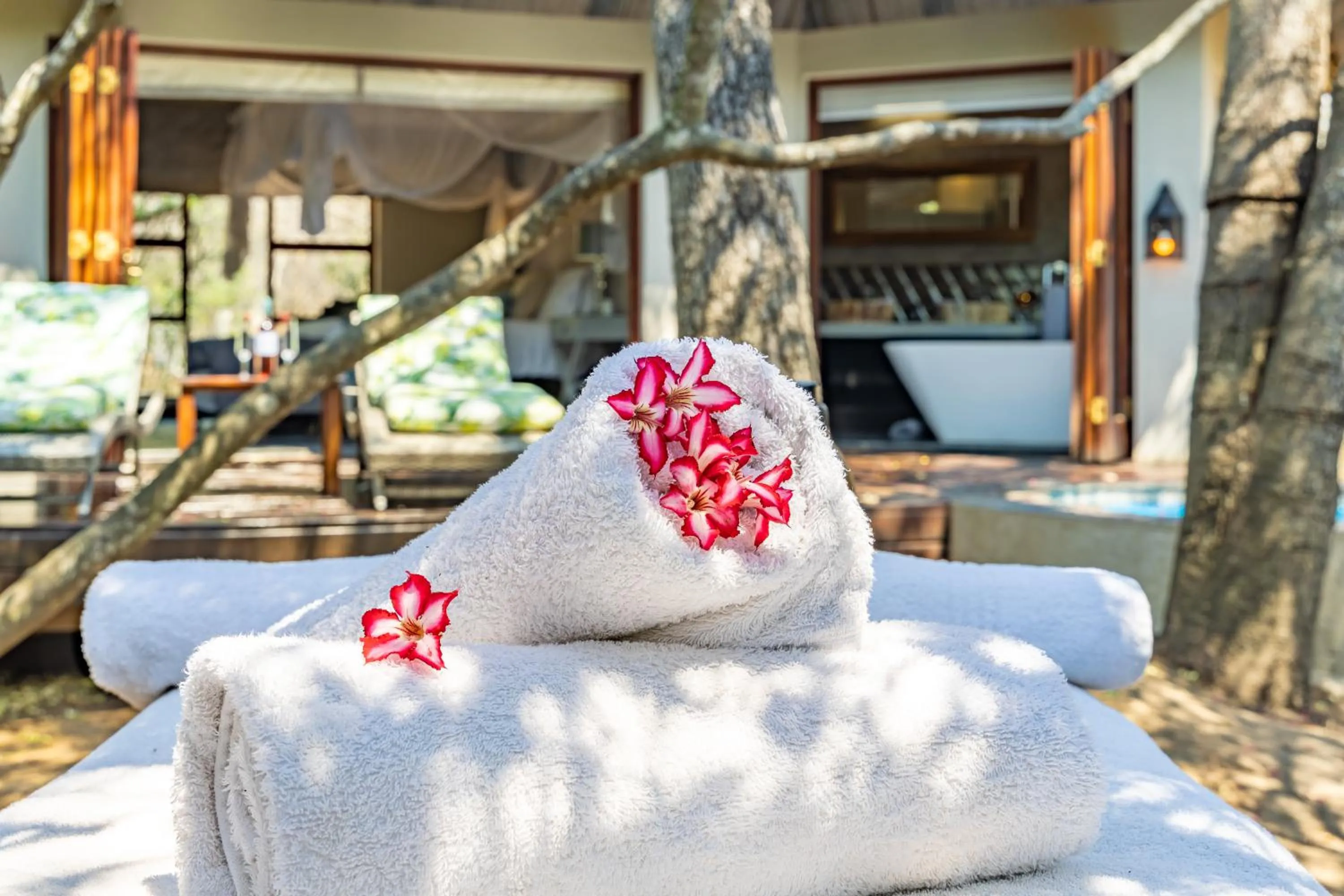 Spa and wellness centre/facilities in Kusudalweni Safari Lodge and Spa