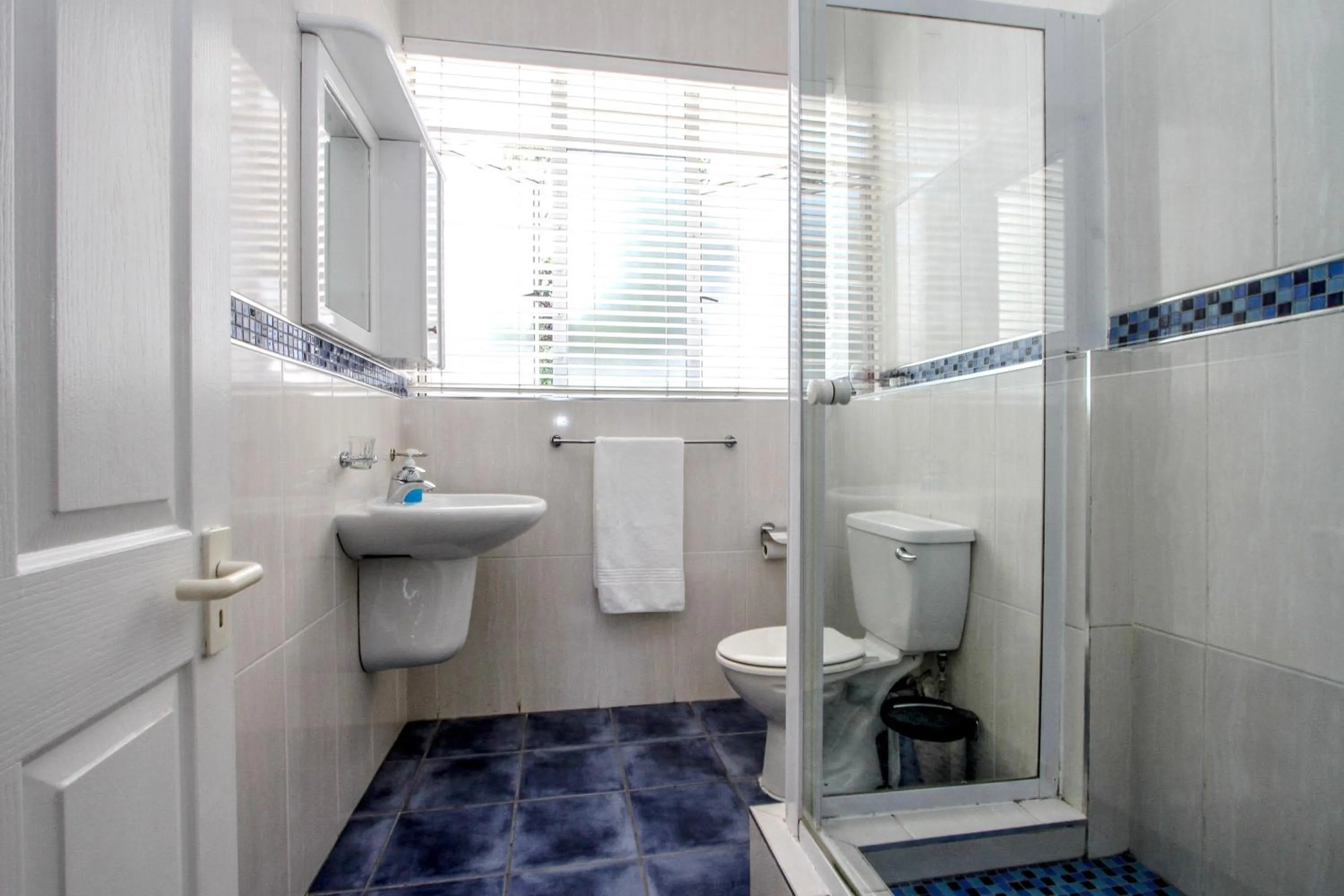 Shower in The Sandringham Bed & Breakfast and Self-Catering