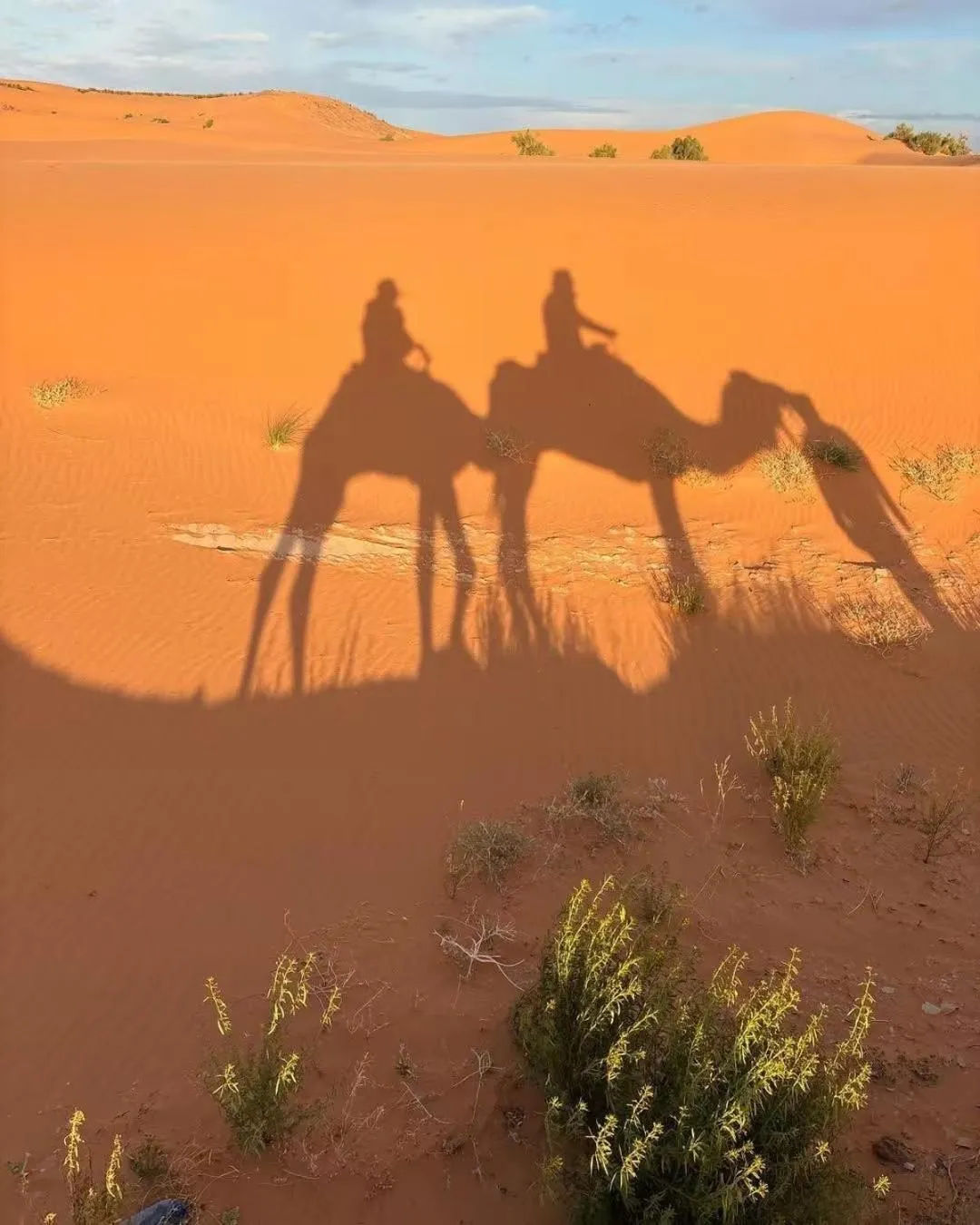 Merzouga Luxury Camp