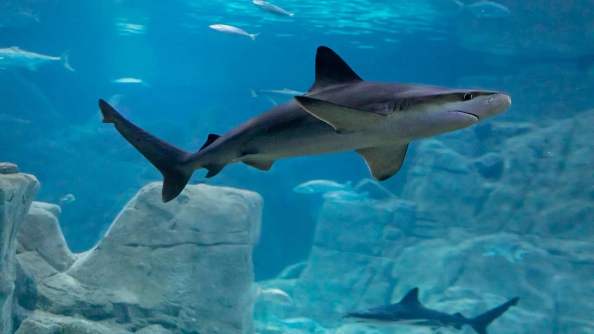 Nearby landmark in Crowne Plaza Florya Istanbul by IHG