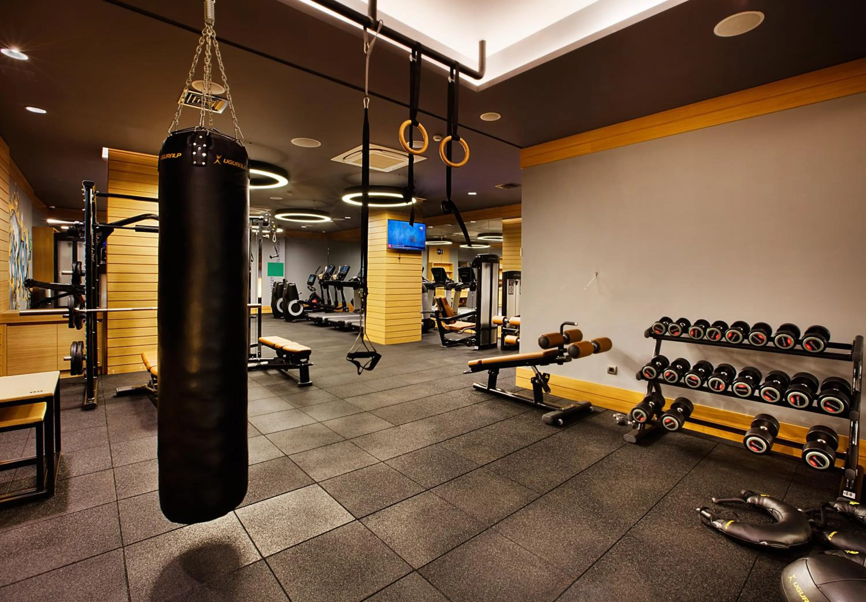 Fitness centre/facilities in Holiday Inn Istanbul - Kadikoy by IHG