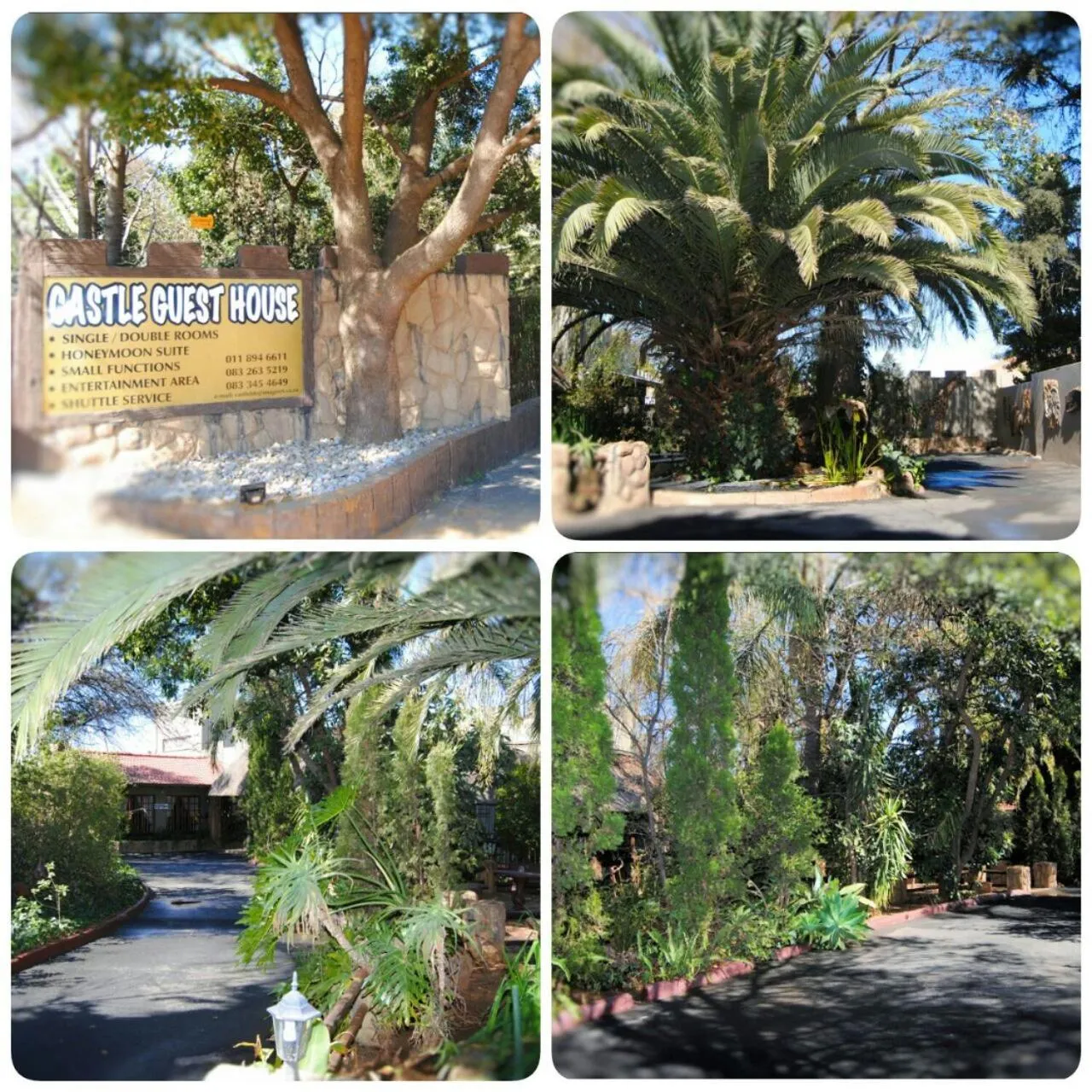 Garden in Castle Lodge