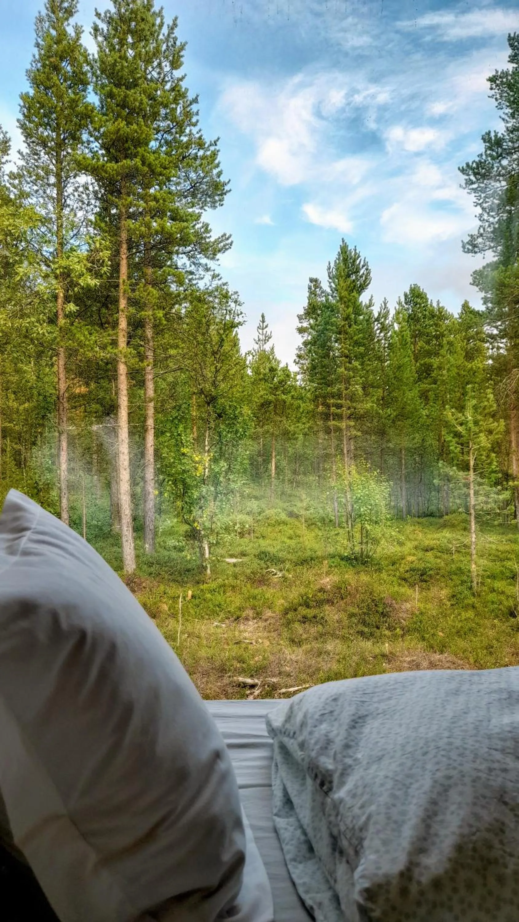 View (from property/room) in Trasti & Trine Boutique Hotel