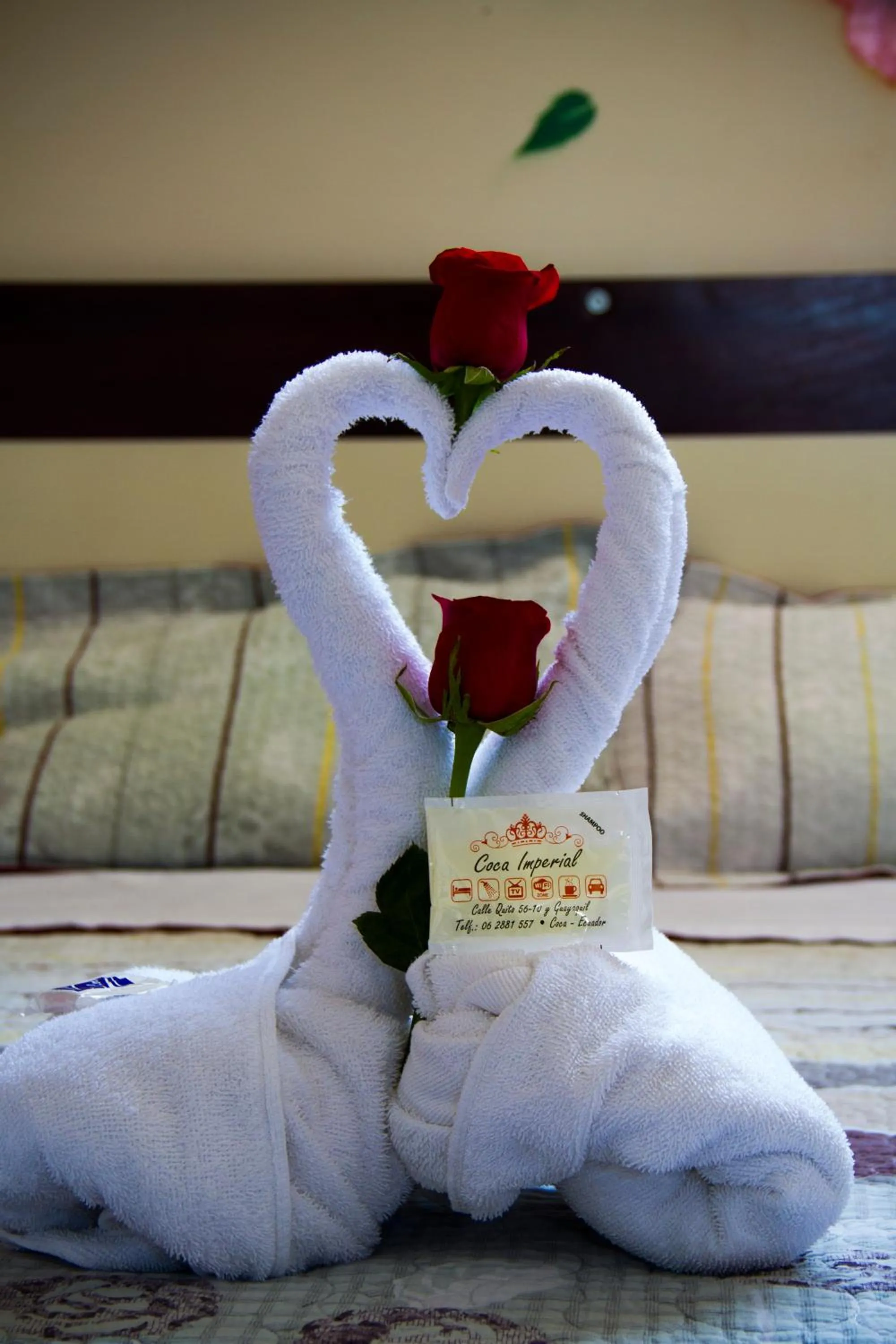 Bedroom, Bed in Hotel Coca Imperial