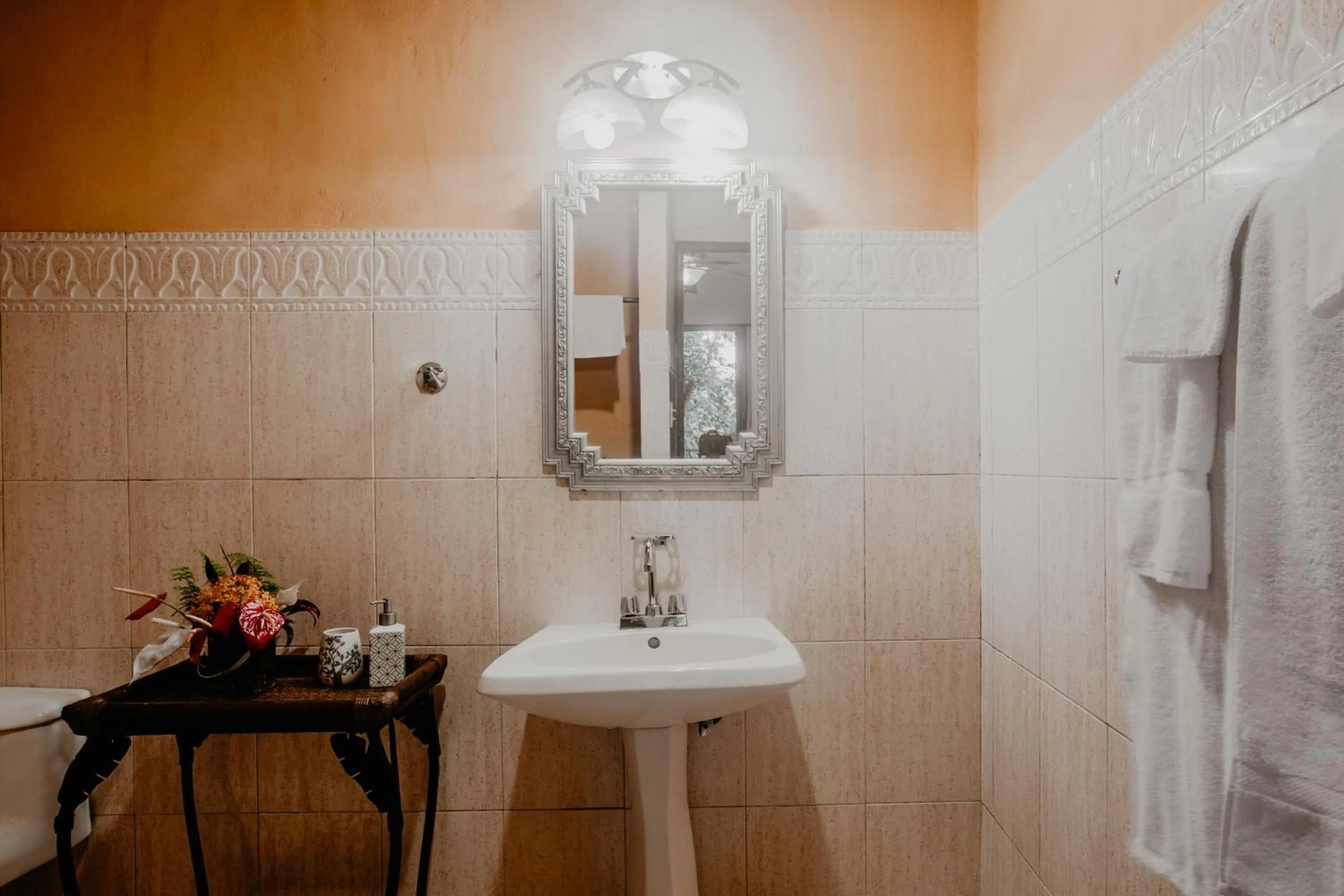 Bathroom in The Golden Frog Inn