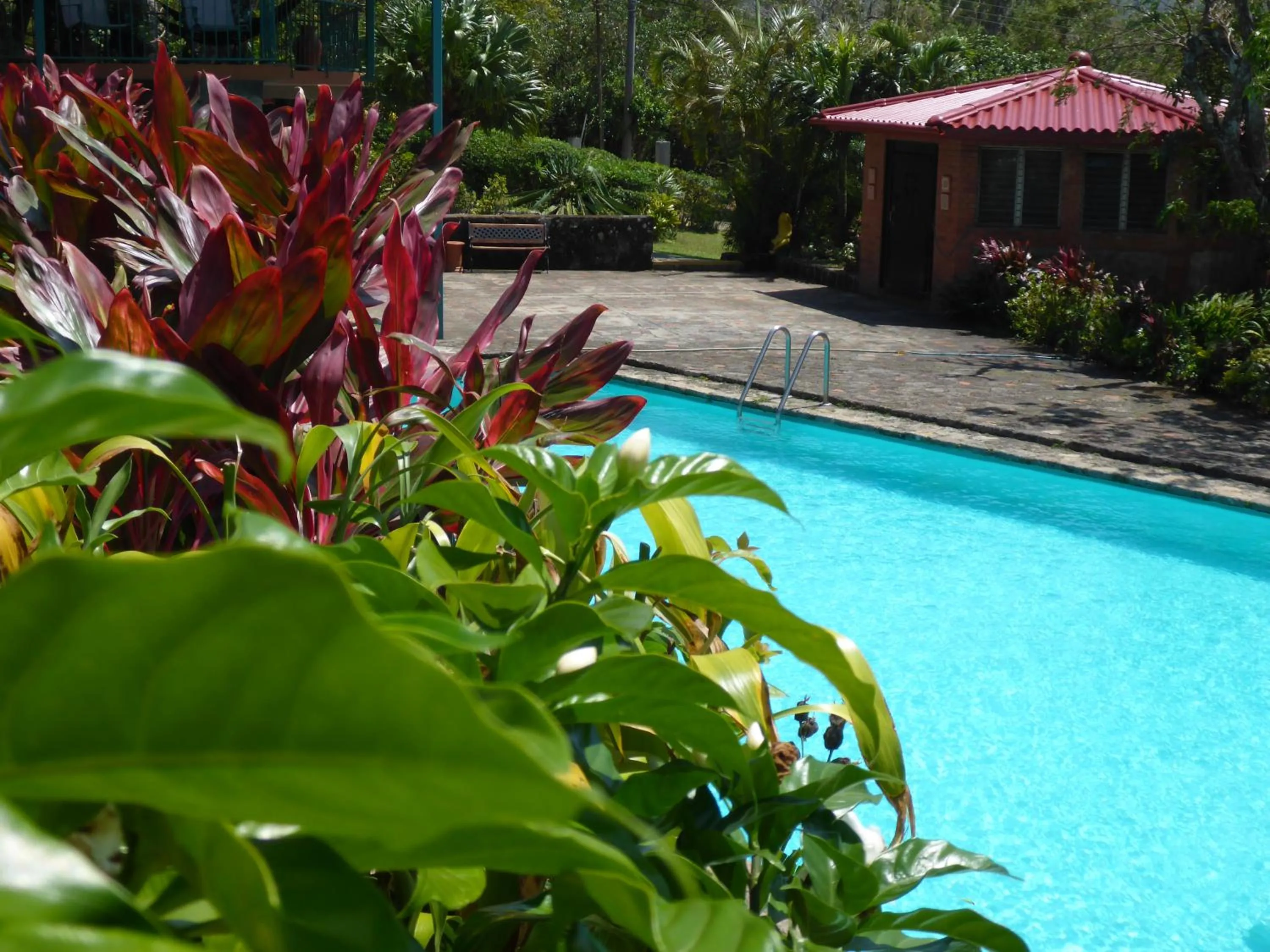 Garden view in The Golden Frog Inn
