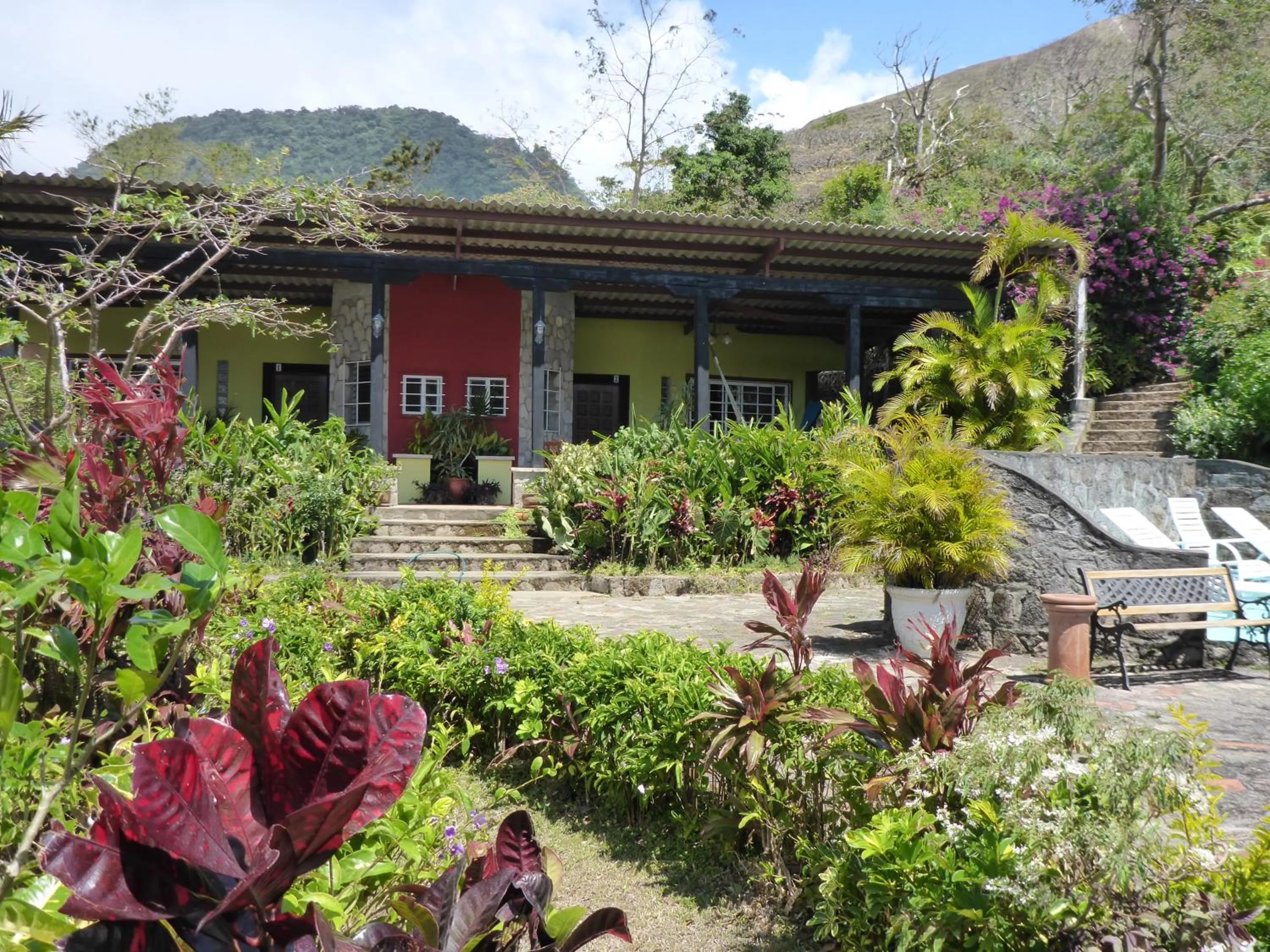 Garden view in The Golden Frog Inn