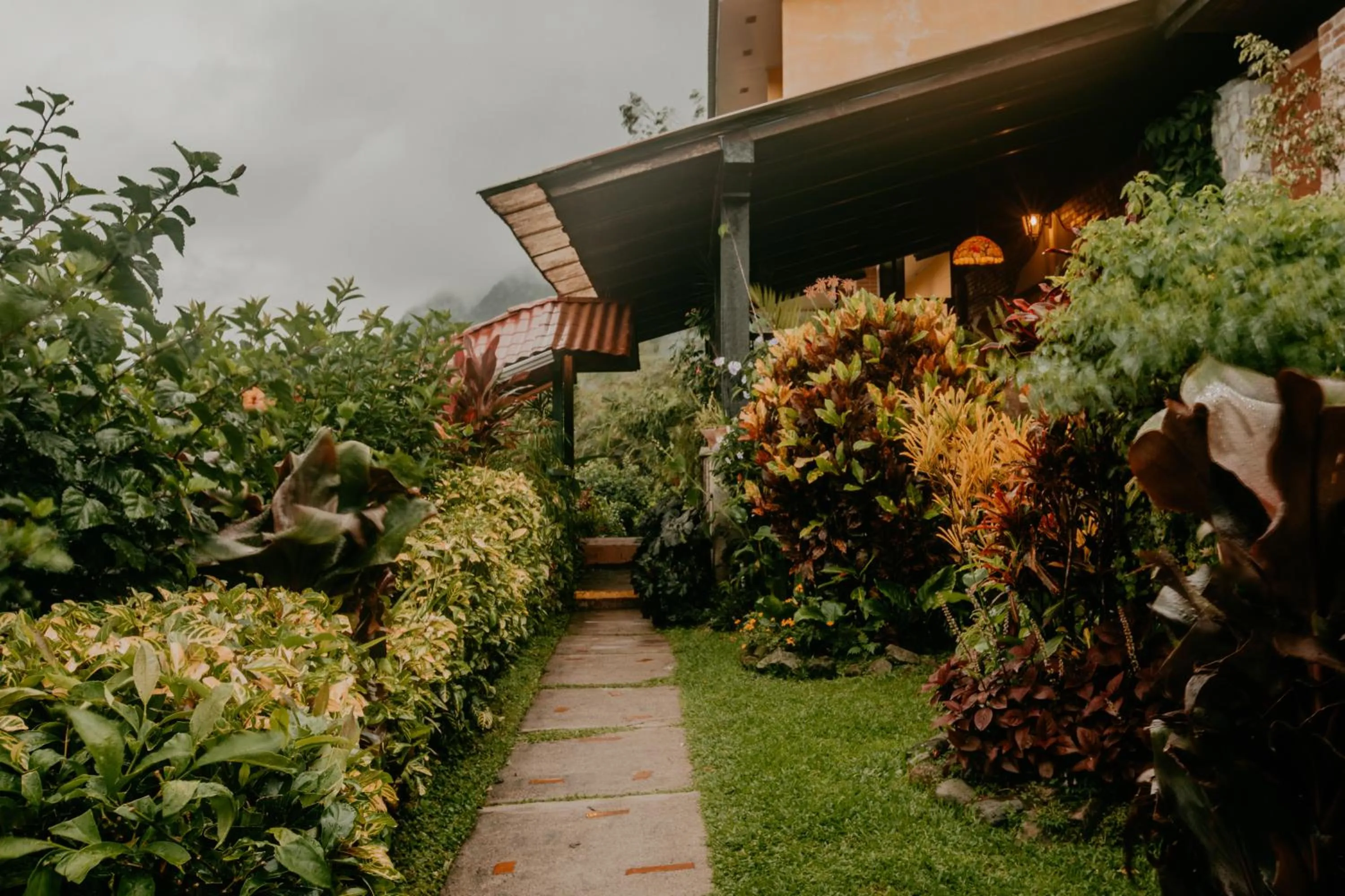 Garden in The Golden Frog Inn