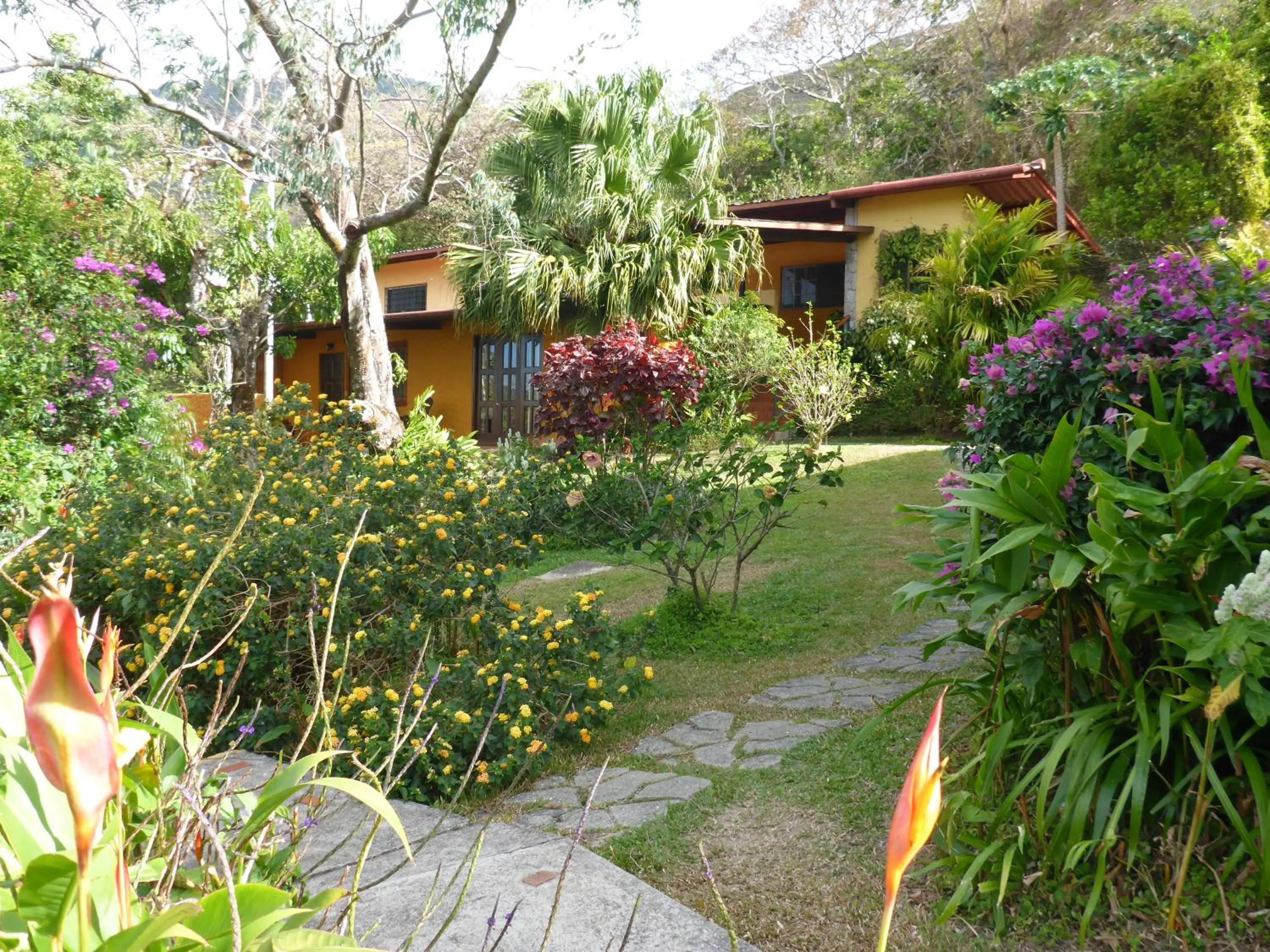Balcony/Terrace in The Golden Frog Inn