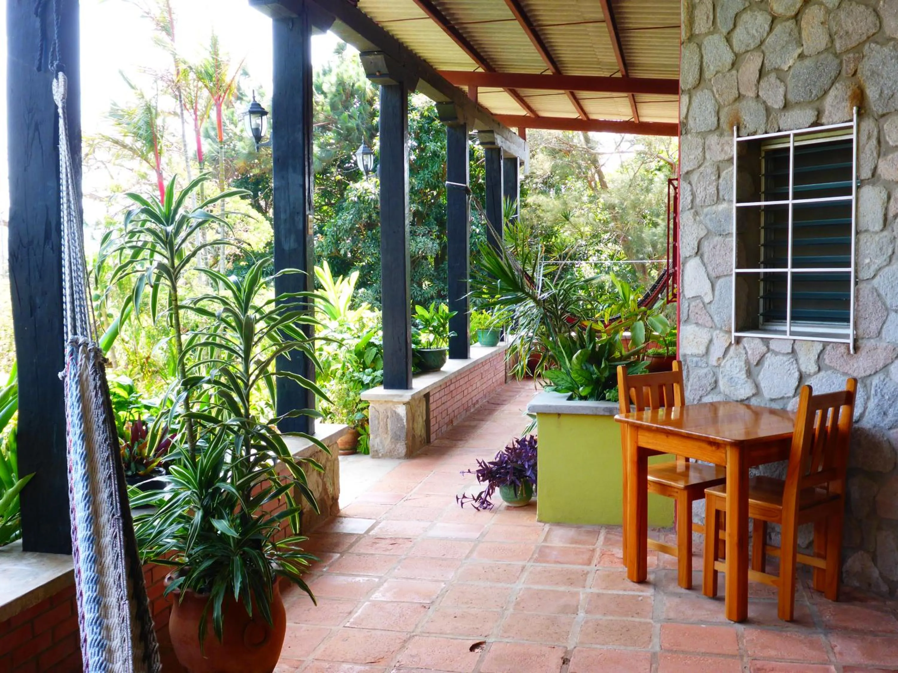 Garden in The Golden Frog Inn