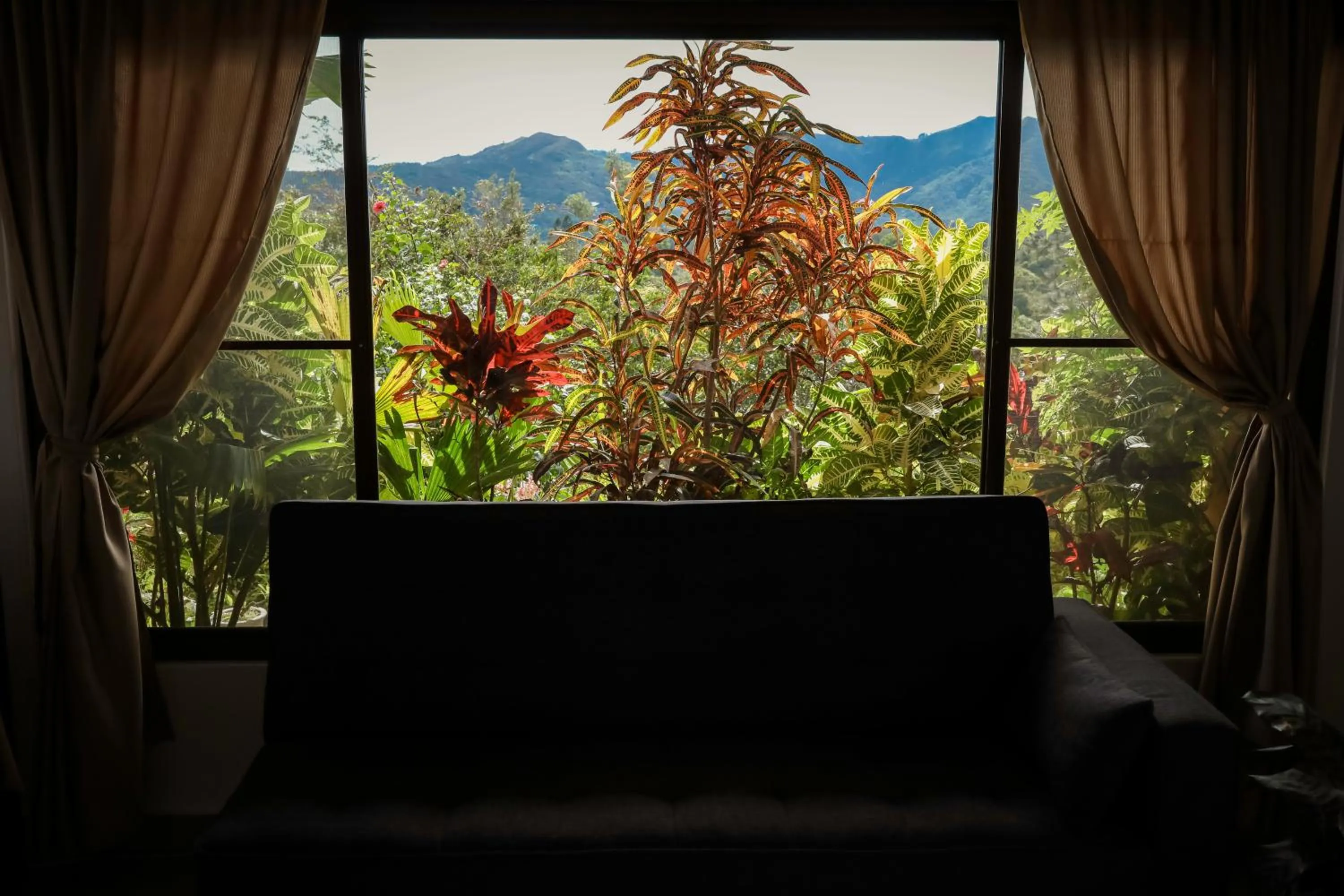 Other in The Golden Frog Inn