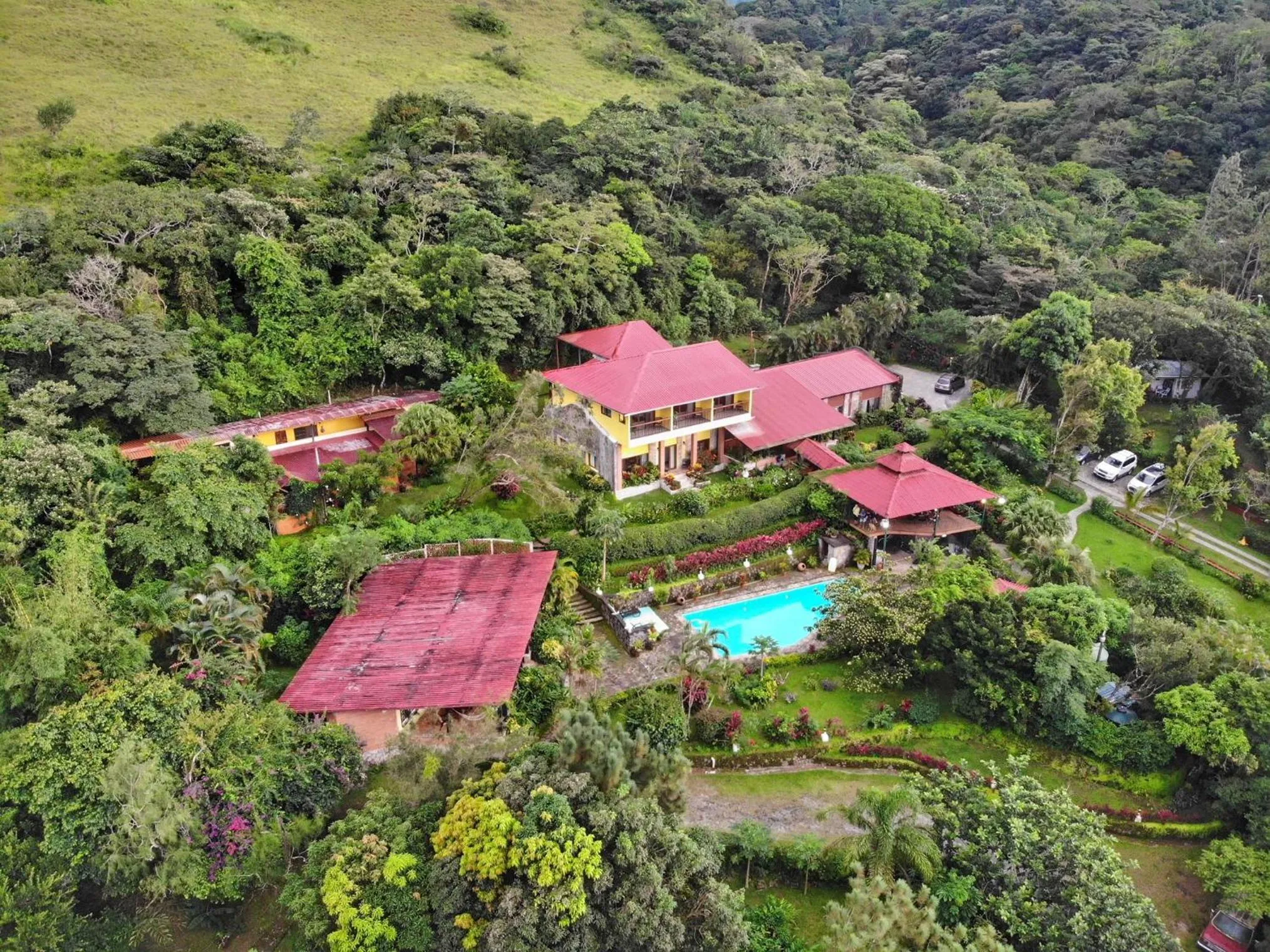 Bird's eye view in The Golden Frog Inn