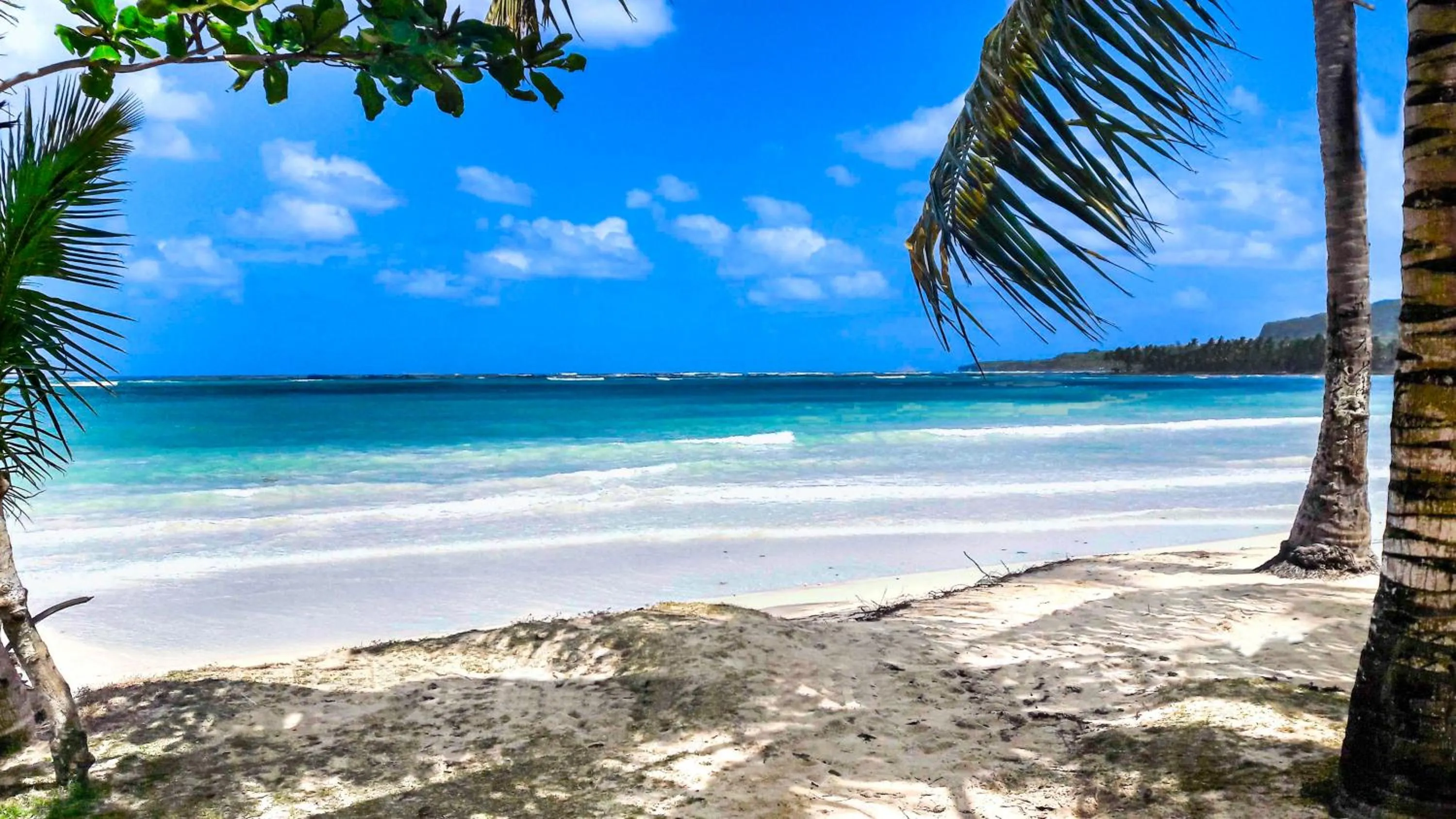 Beach in El Pelicano Apart-Hotel