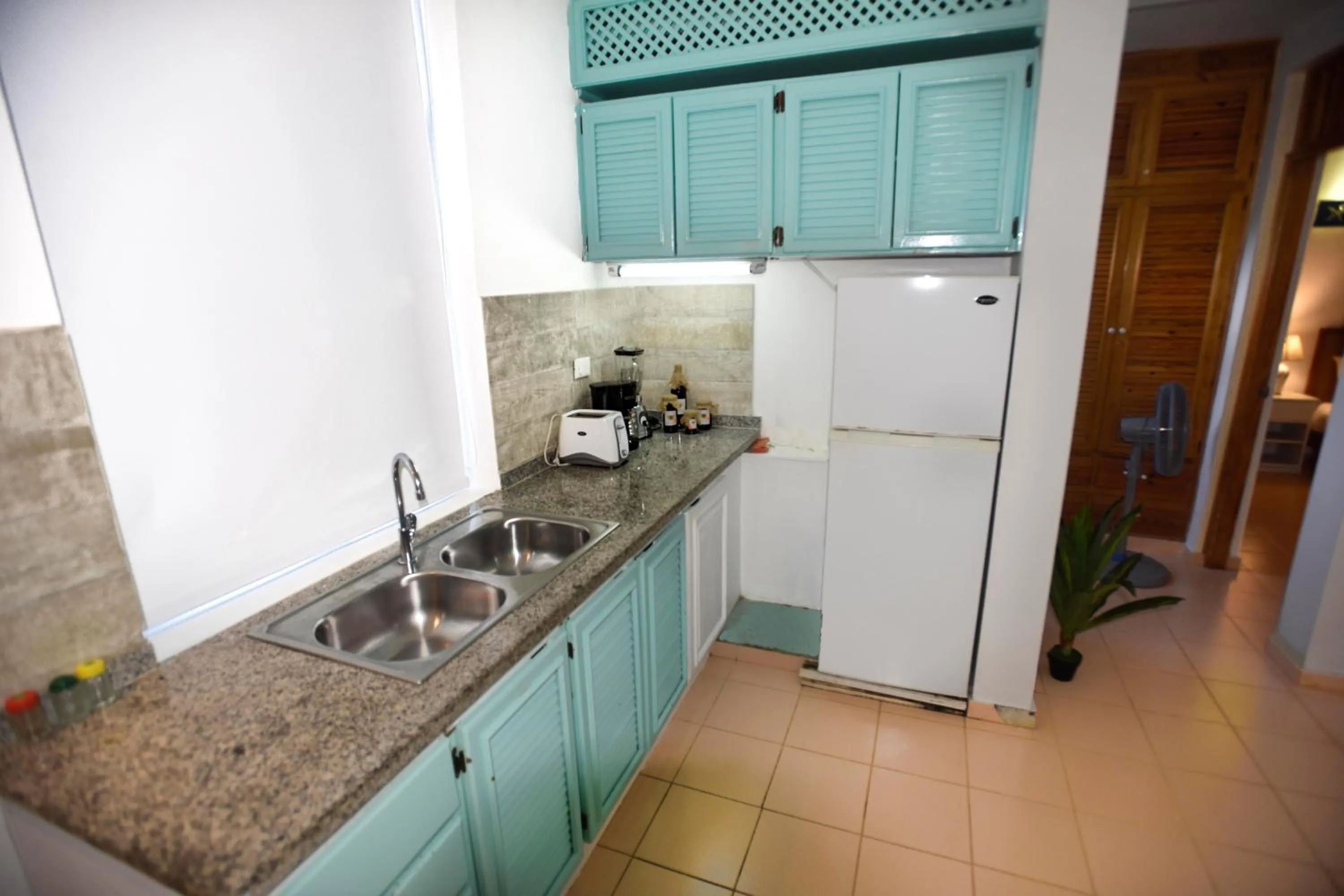 kitchen in El Pelicano Apart-Hotel