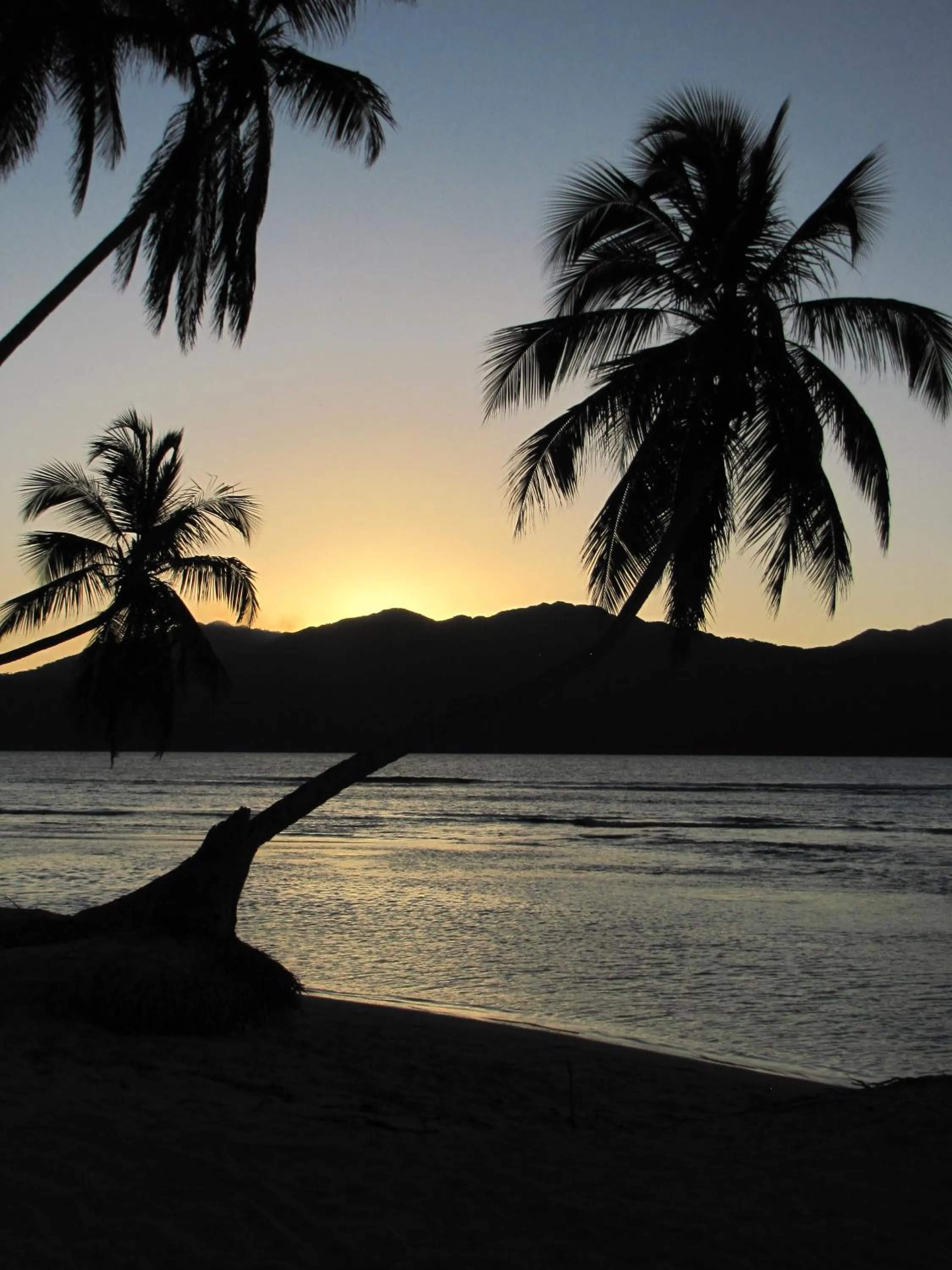 Beach in El Pelicano Apart-Hotel