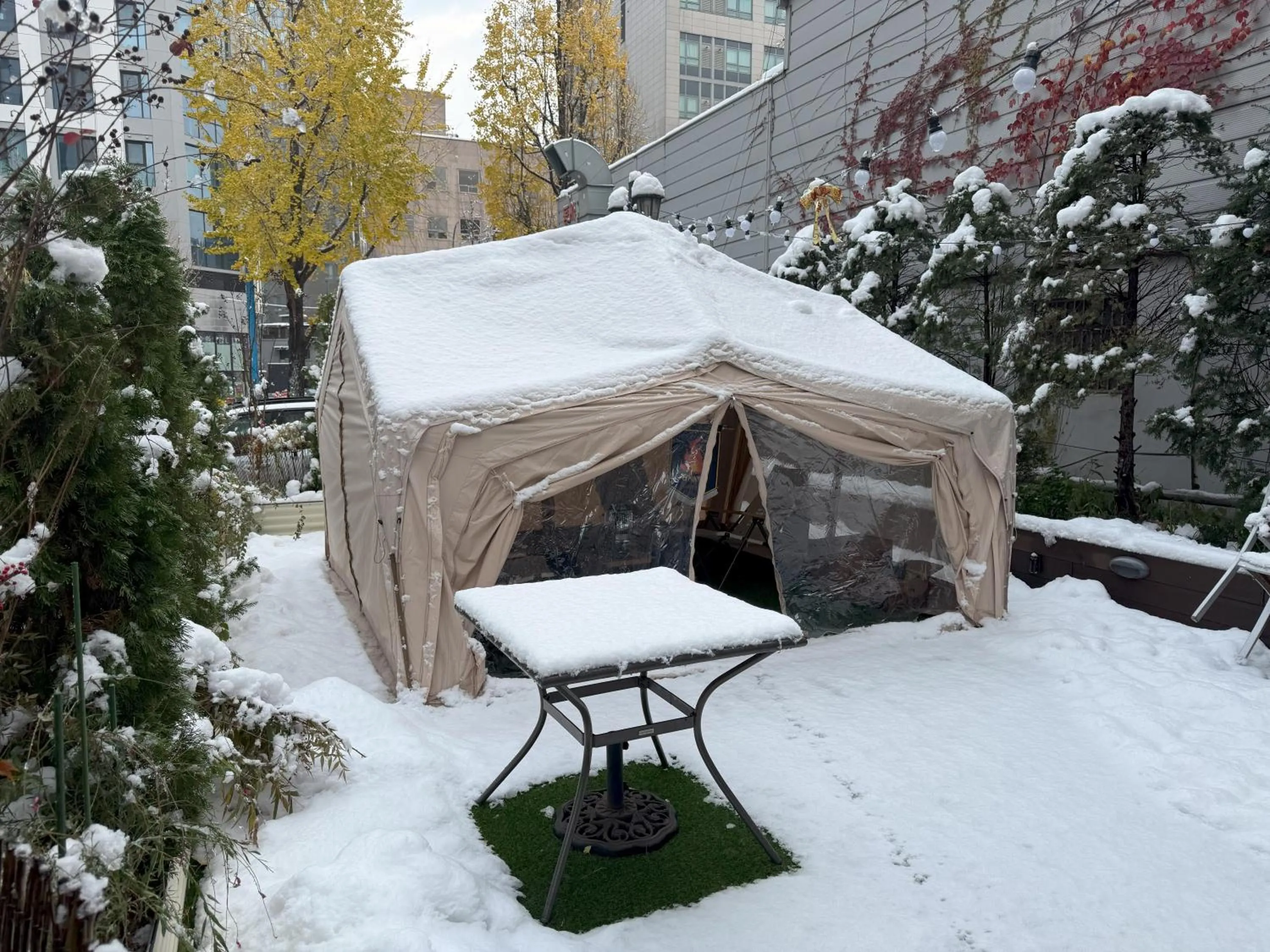 Garden in Acube Hotel Dongdaemun