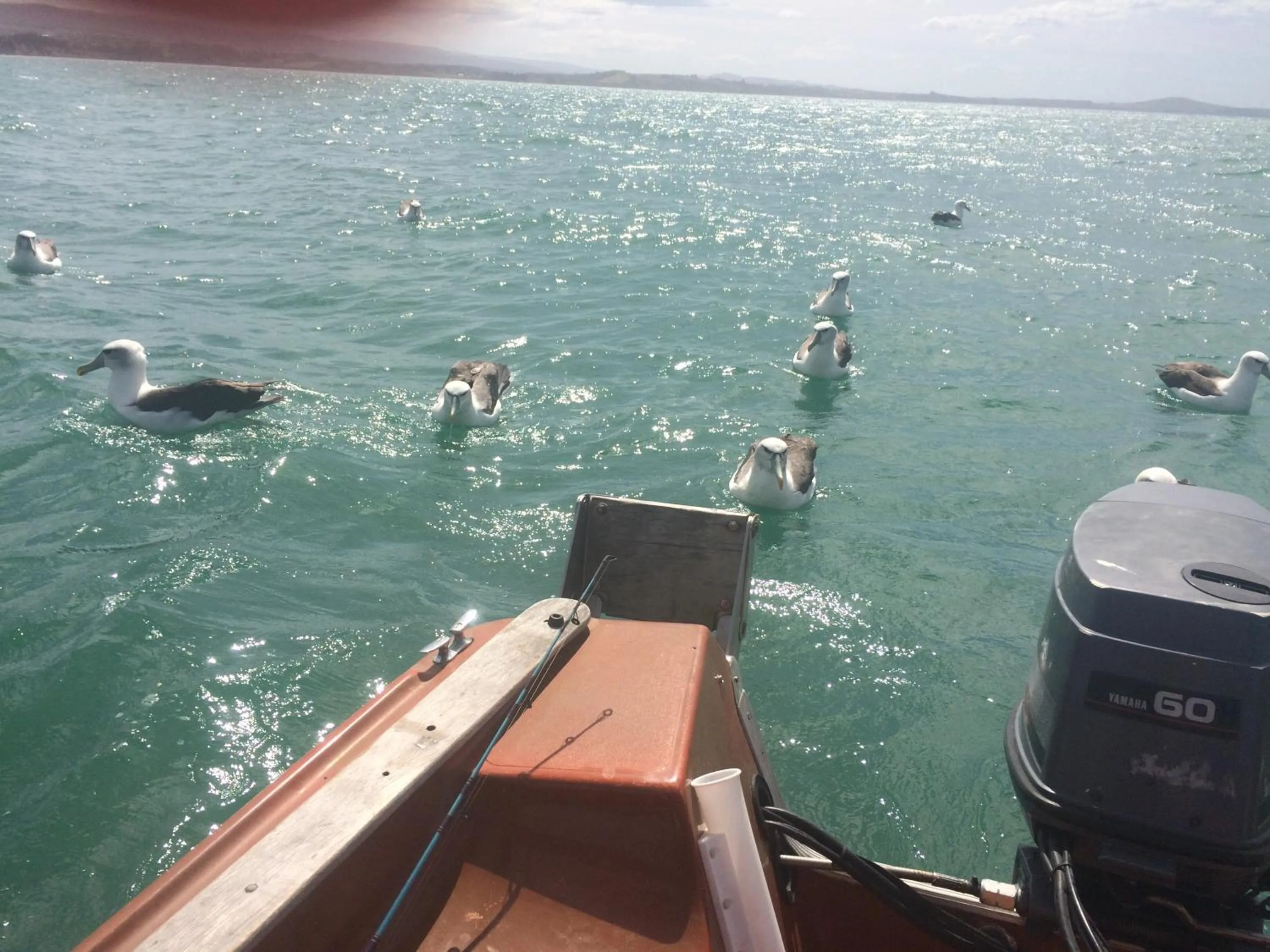 Noah's Boutique Accommodation Moeraki