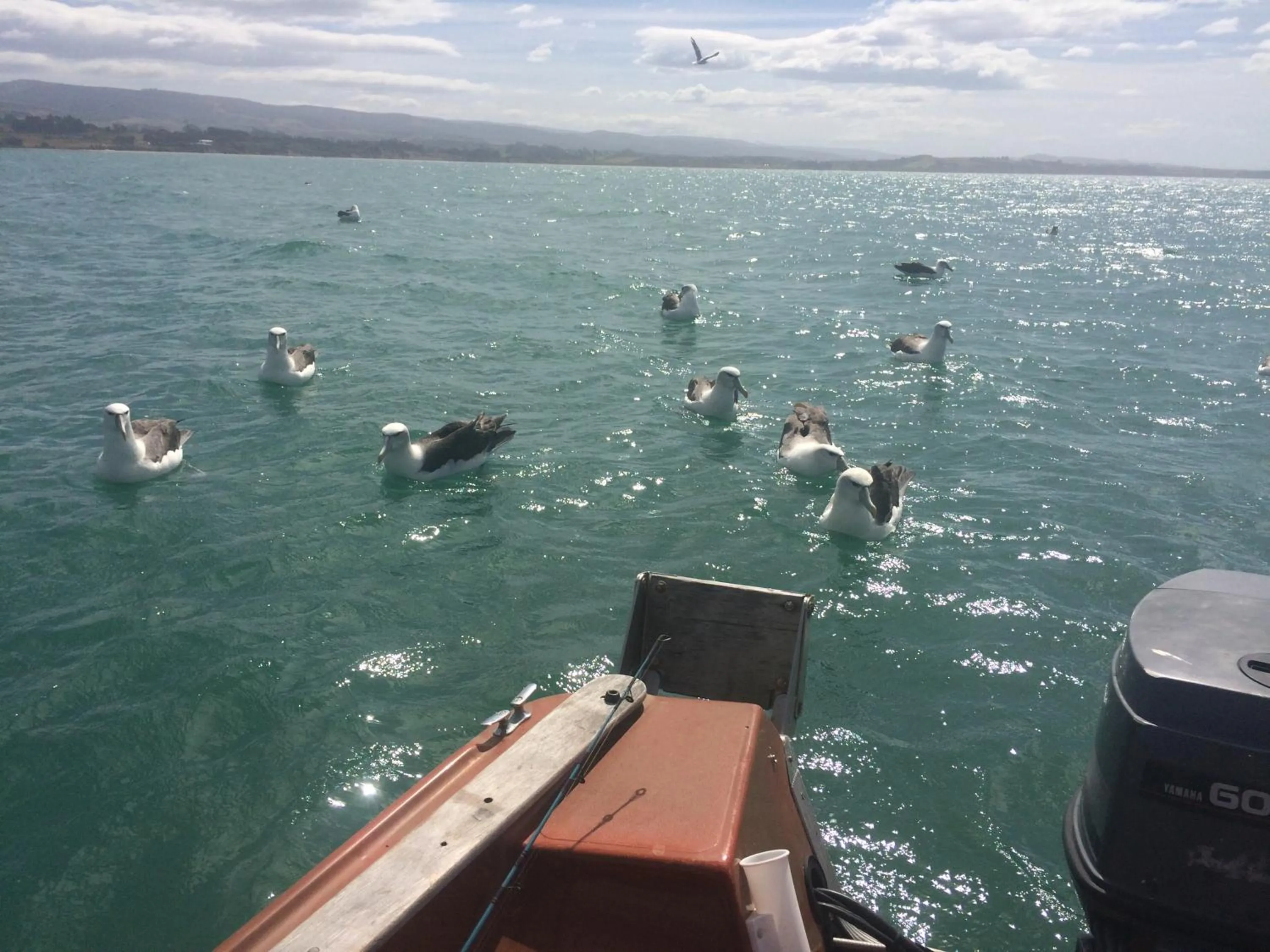 Noah's Boutique Accommodation Moeraki