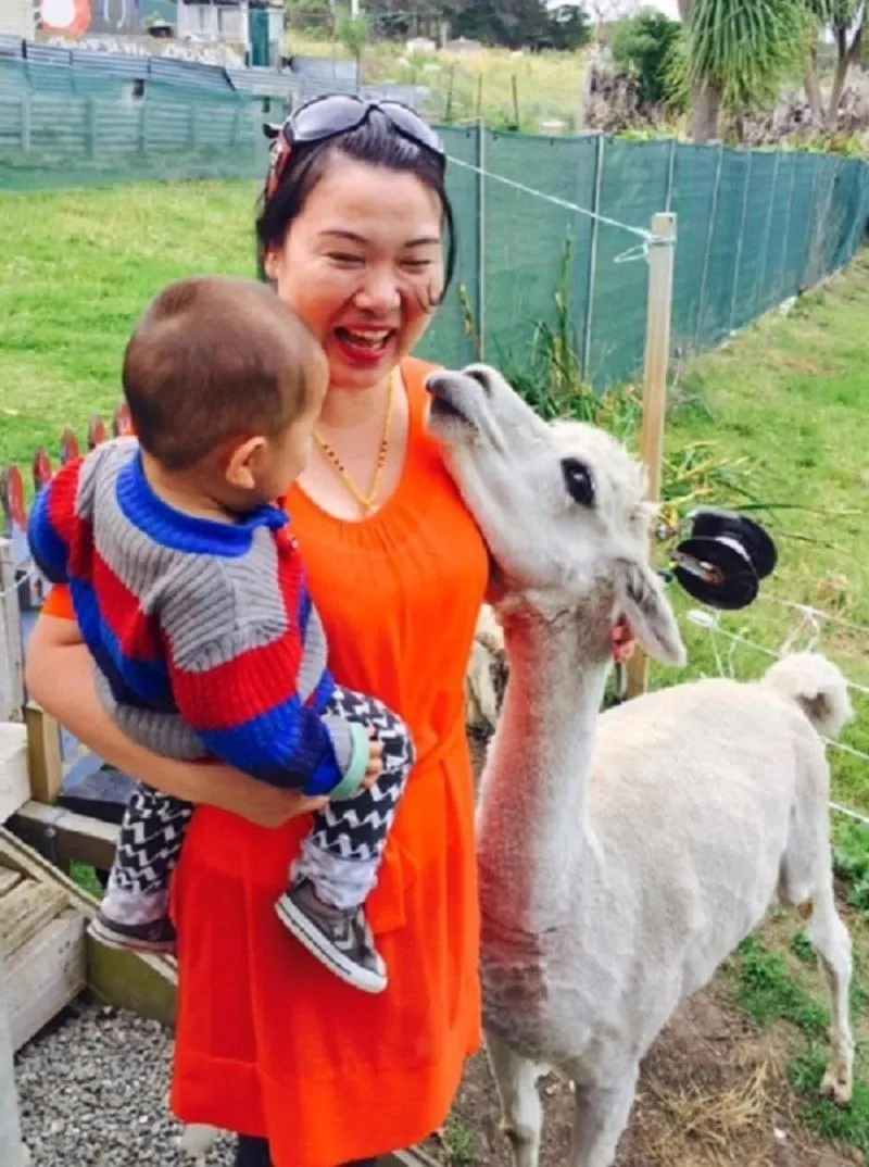 Pets in Noah's Boutique Accommodation Moeraki