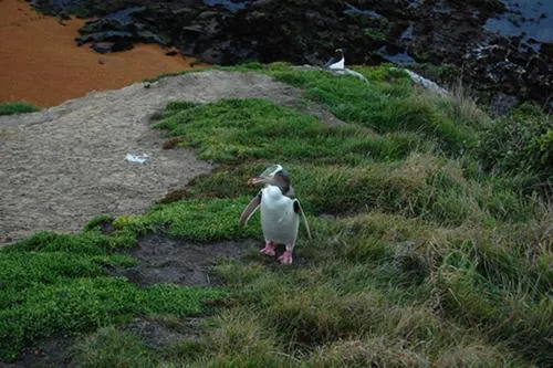 Noah's Boutique Accommodation Moeraki
