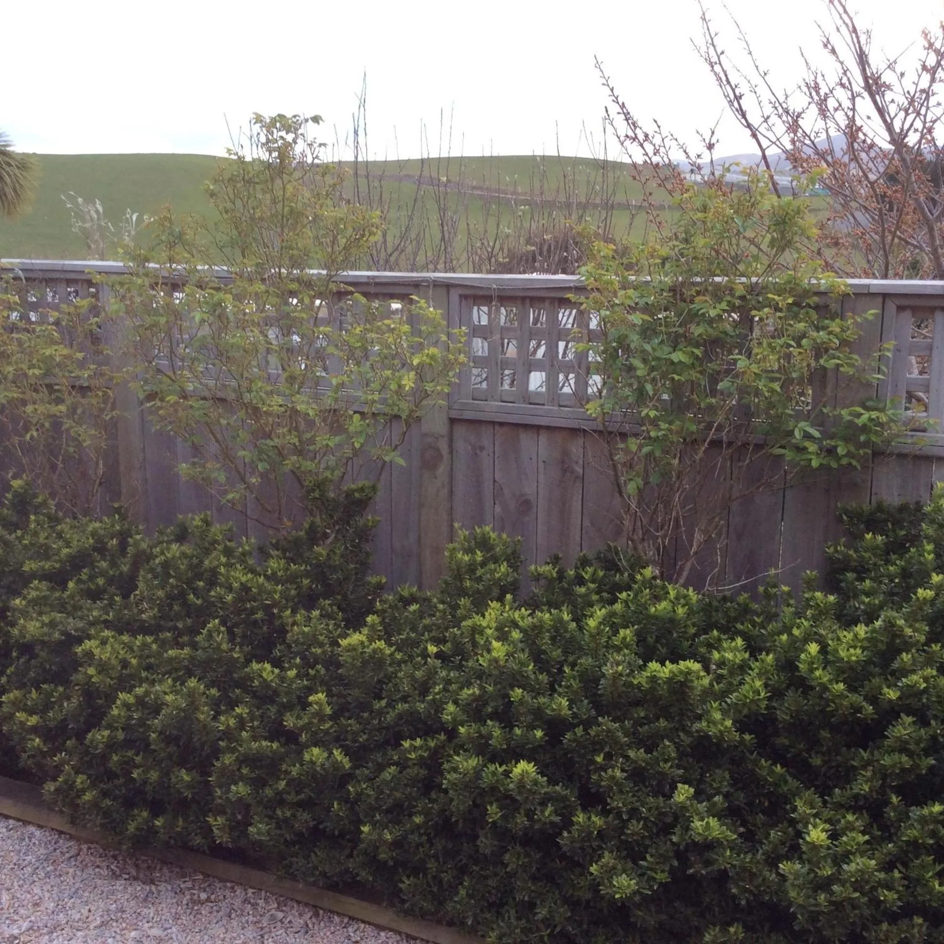 Noah's Boutique Accommodation Moeraki