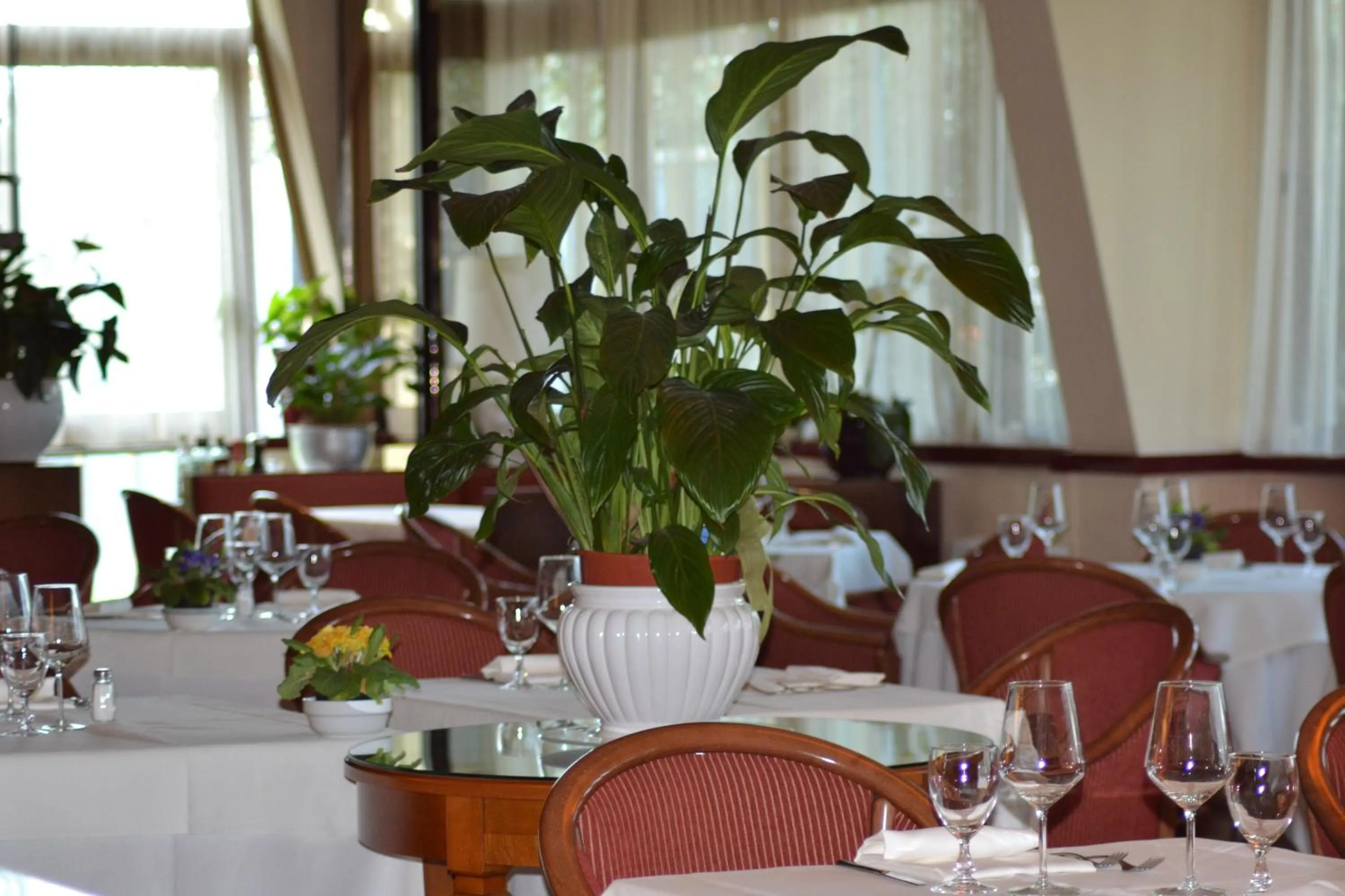 Restaurant/places to eat in Hotel Gama