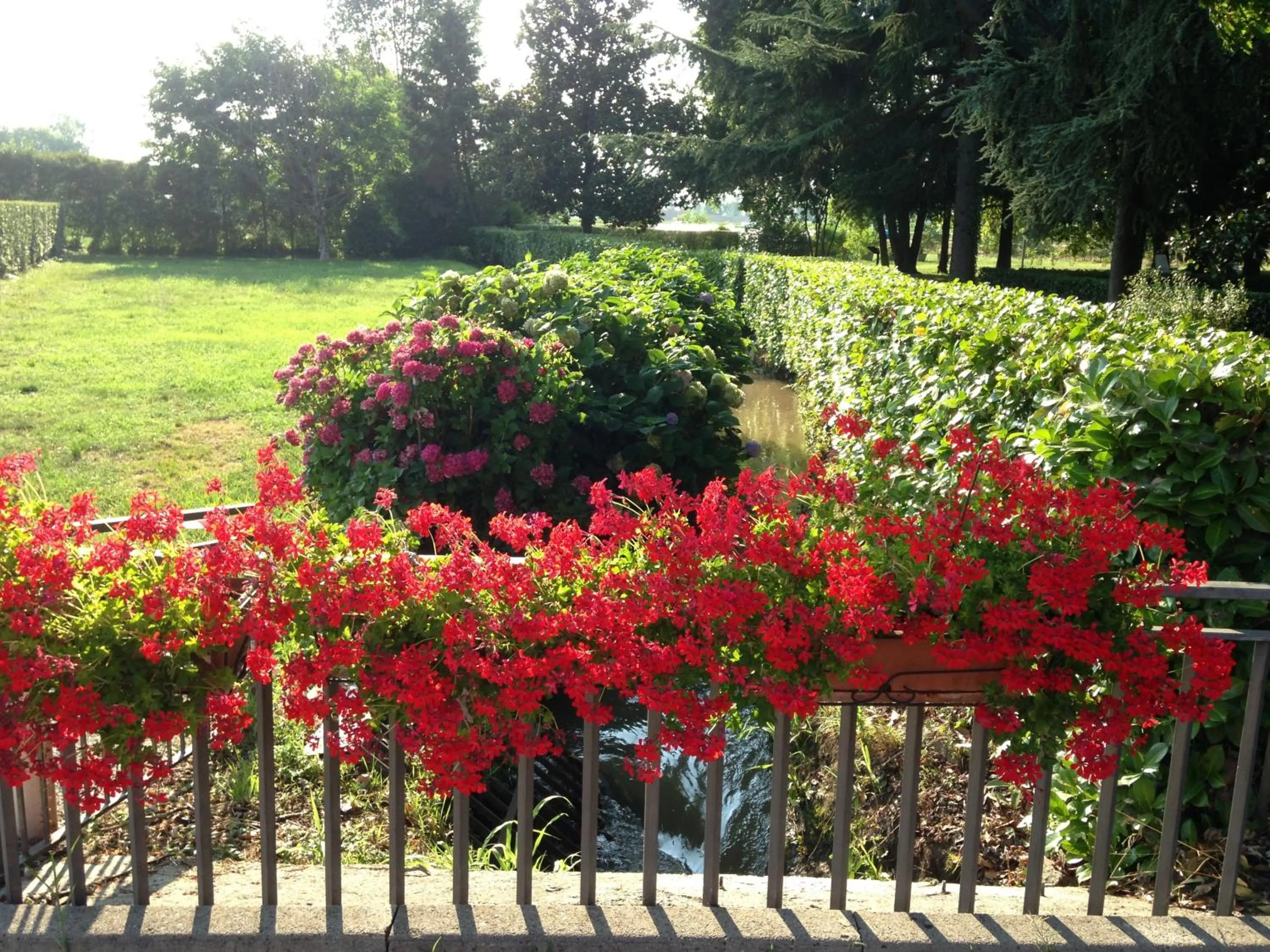 Garden in Hotel Gama