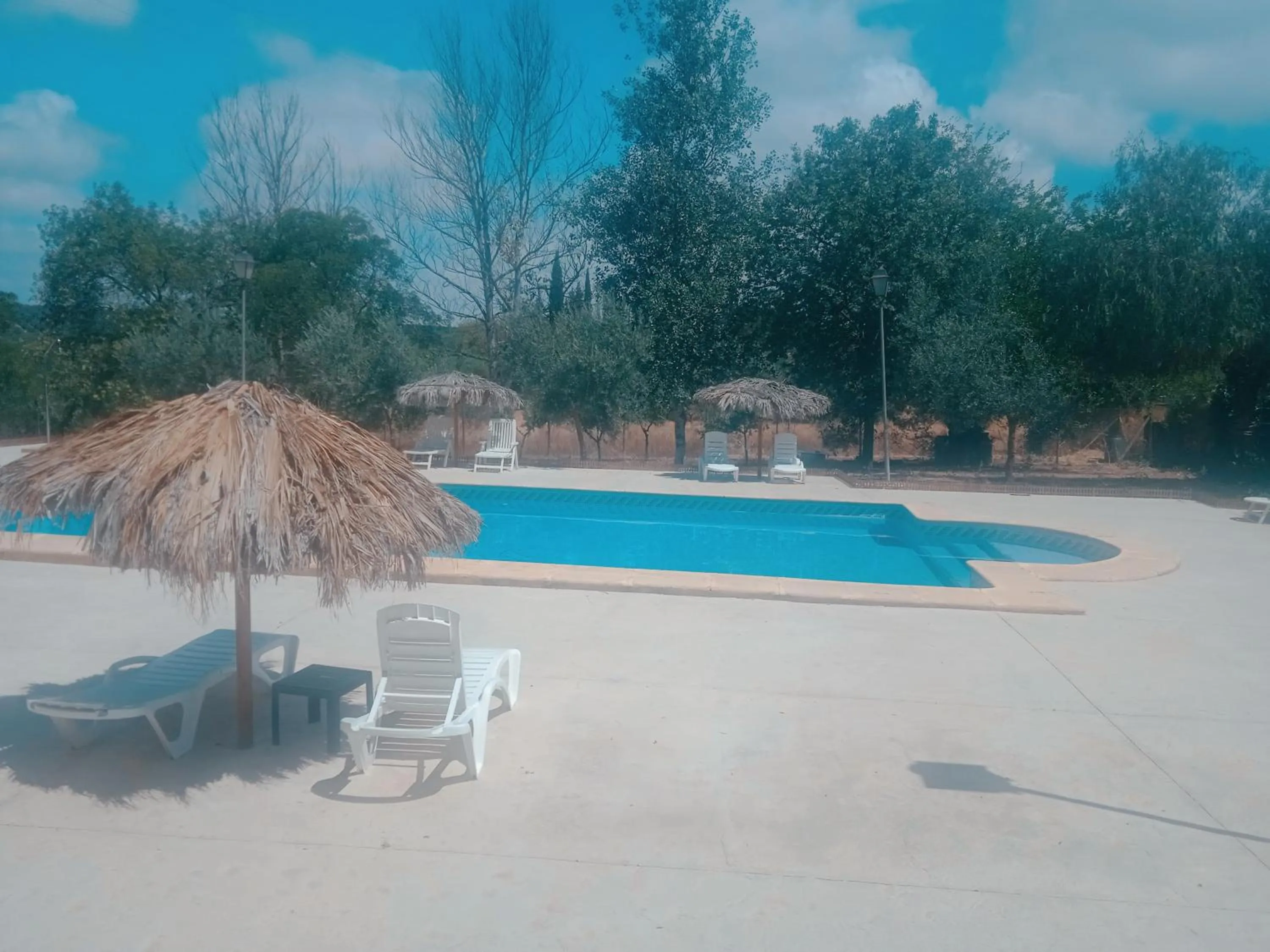 Swimming pool in Cortijo Carrillo