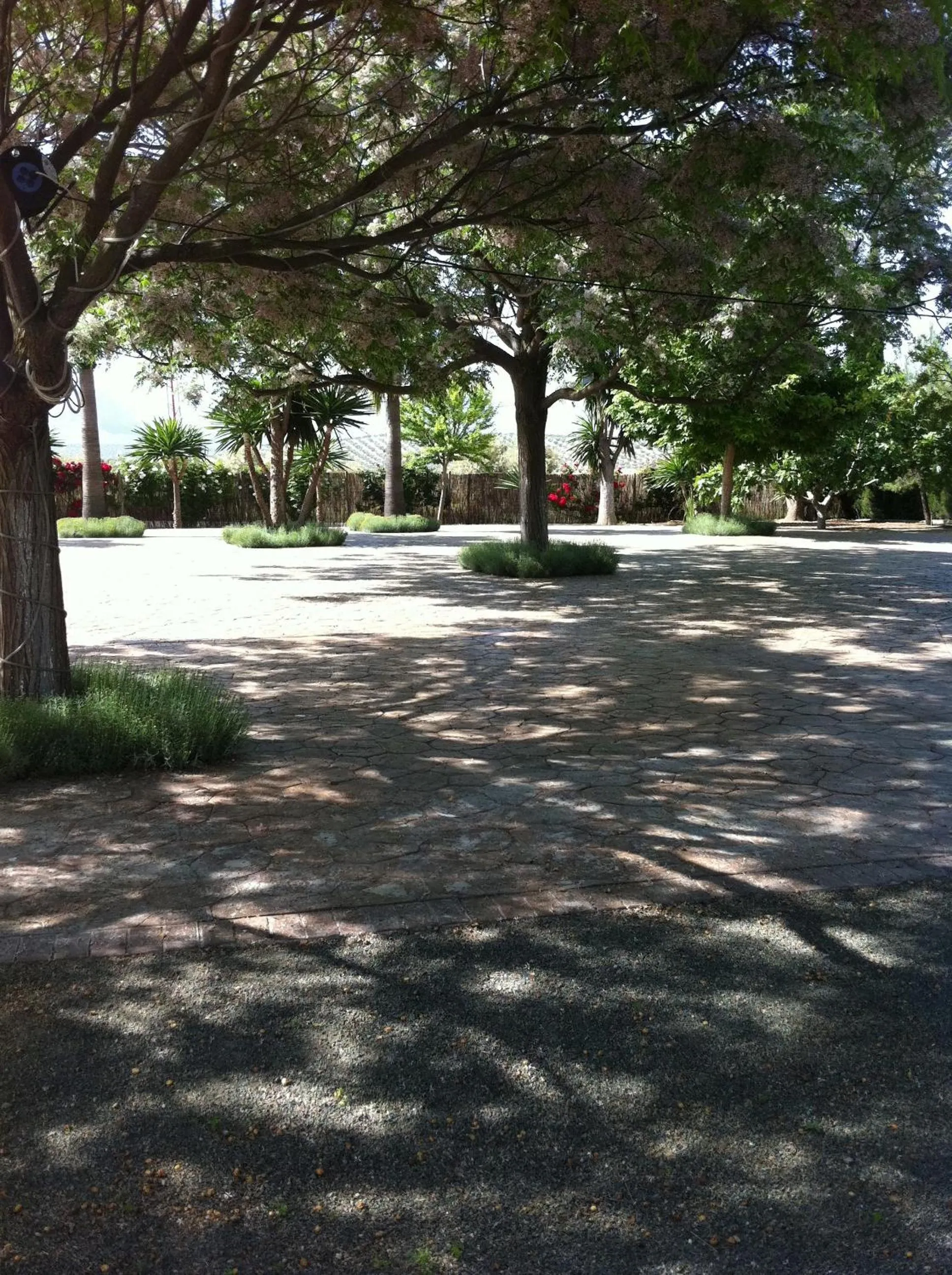 Spring in Cortijo Carrillo