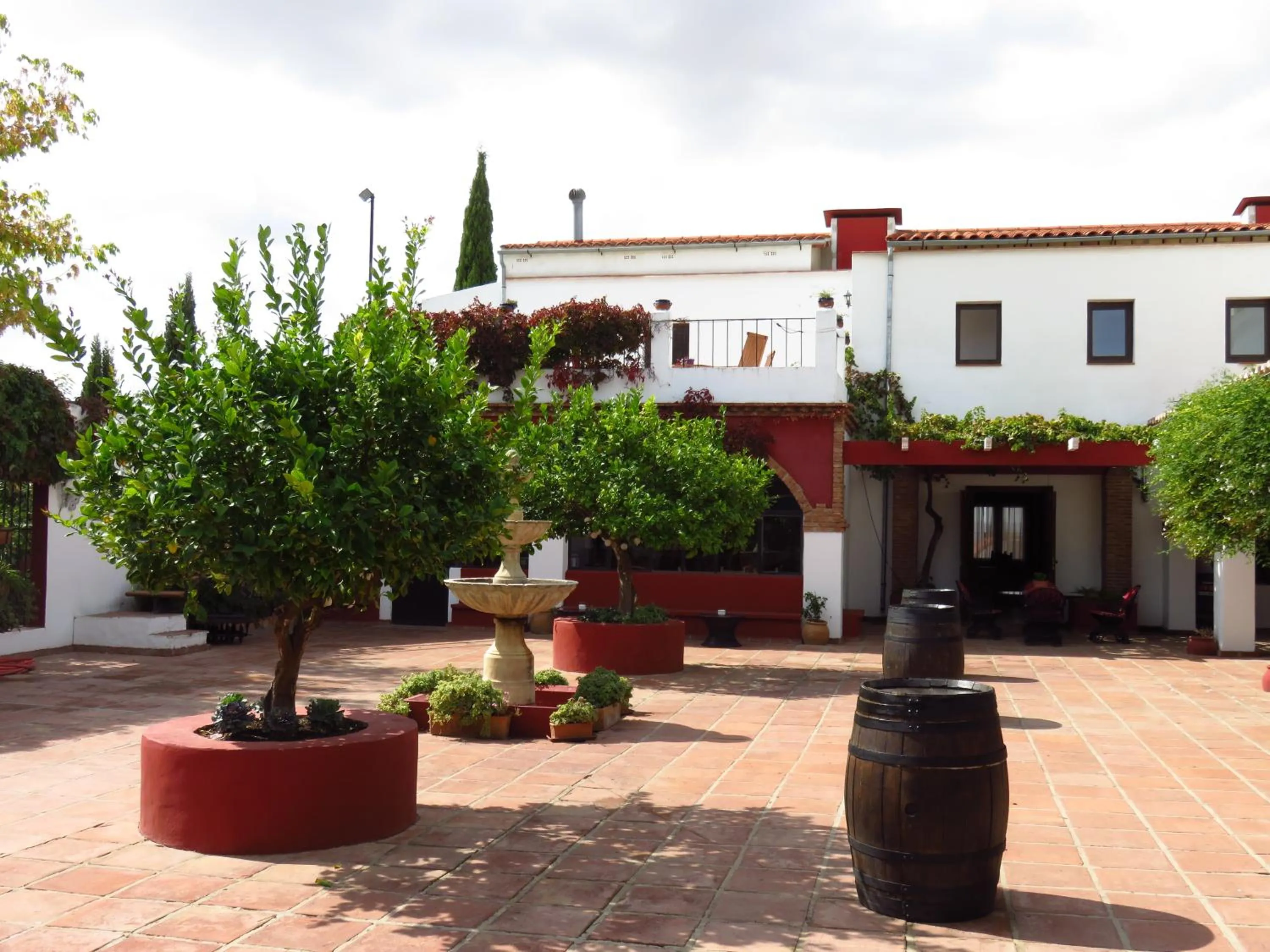 Day in Cortijo Carrillo