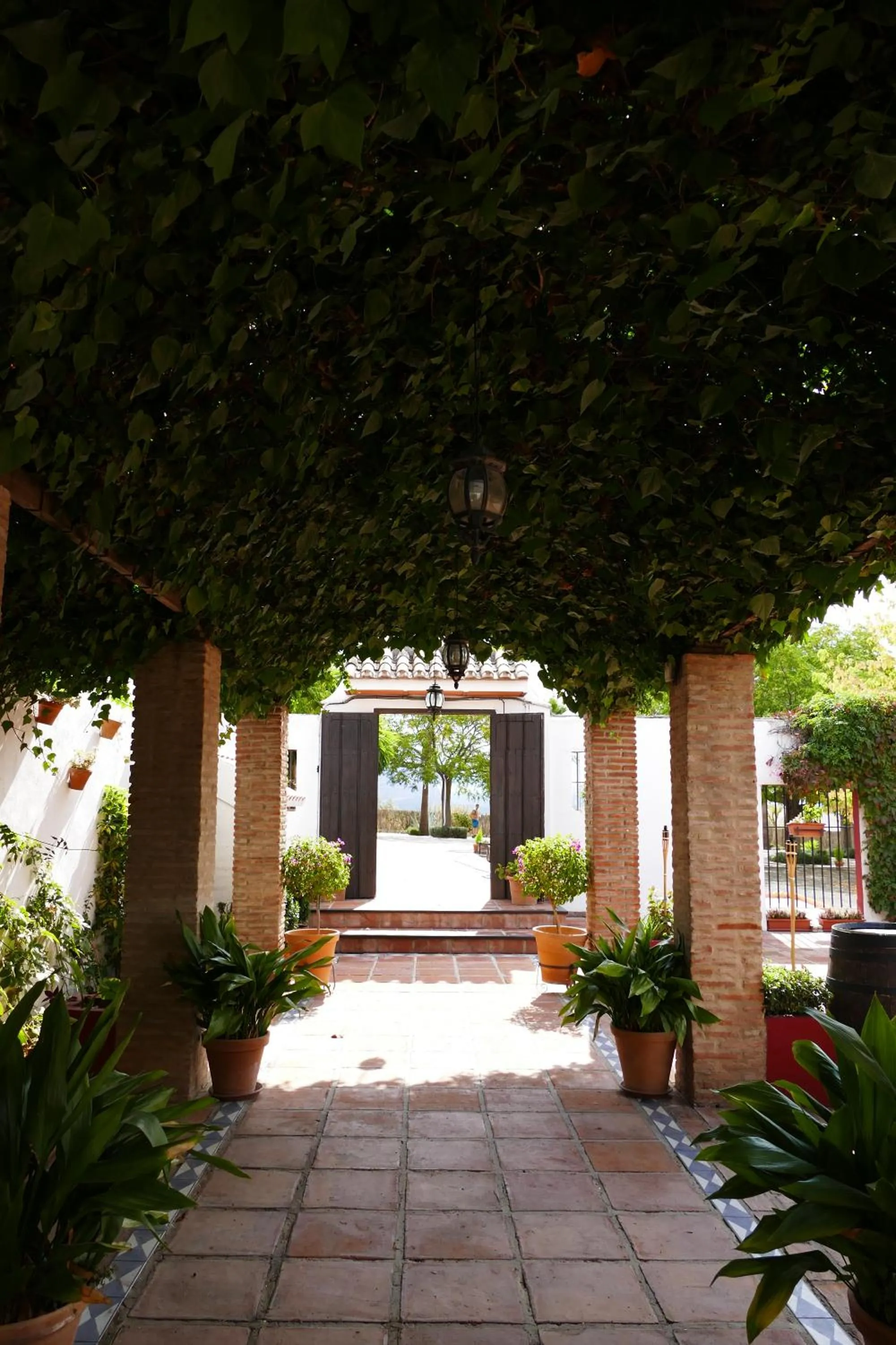 Day in Cortijo Carrillo