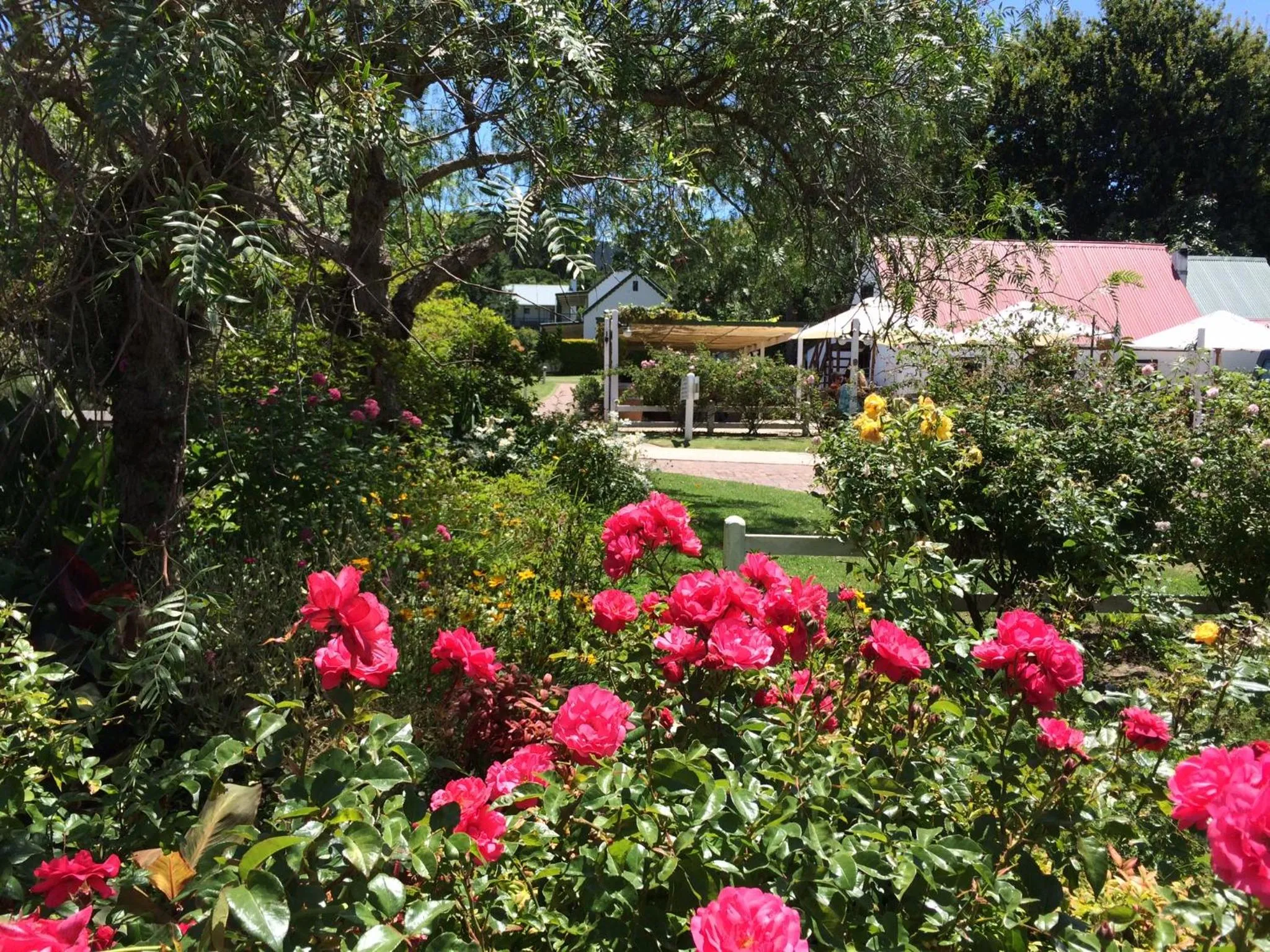 Day in Belvidere Manor Lagoonside Cottages