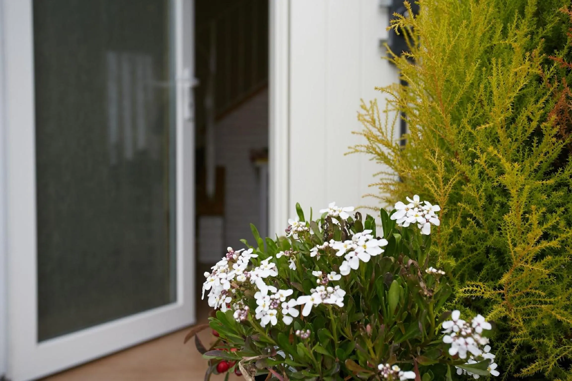 Decorative detail in B&B Al sogno di Laura