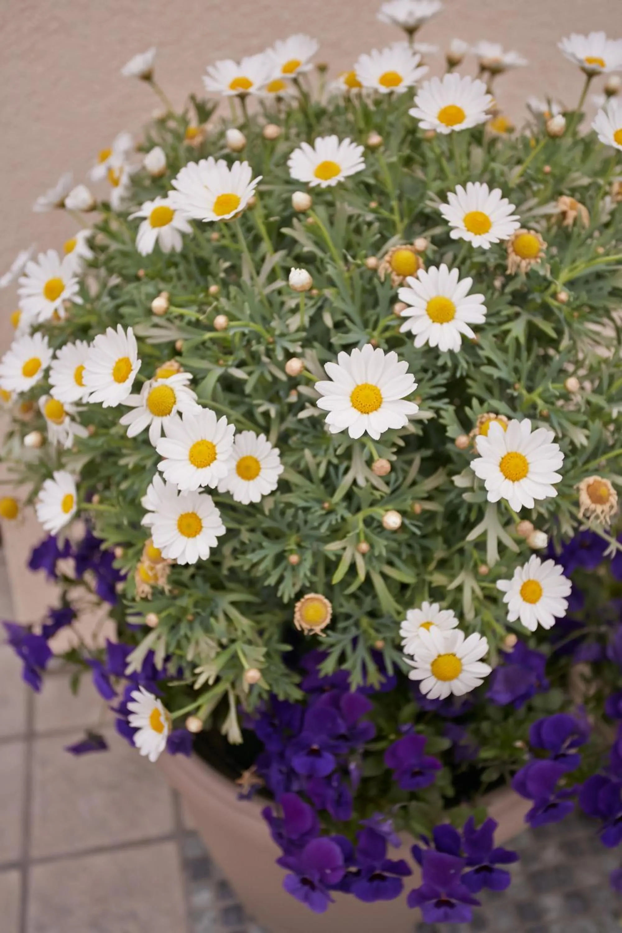 Decorative detail in B&B Al sogno di Laura