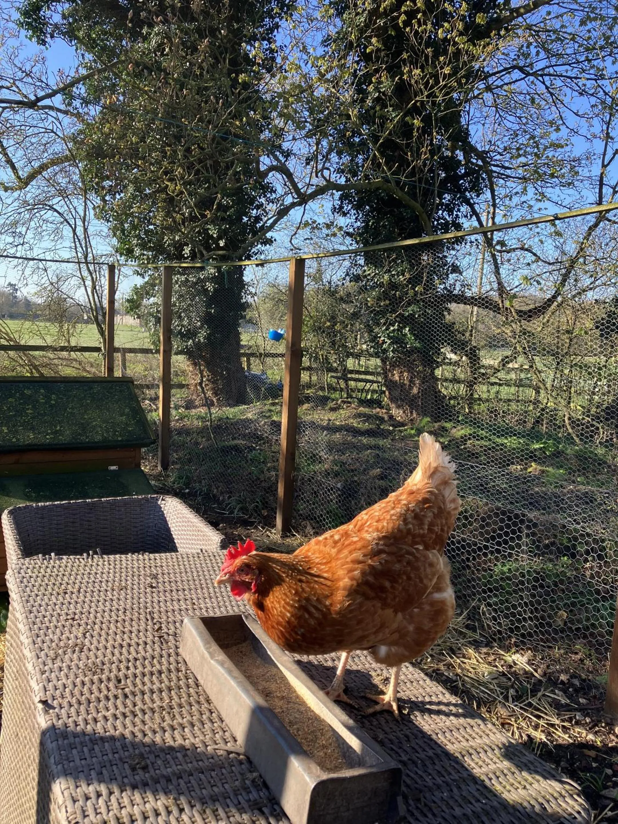 Other in Grange Farm