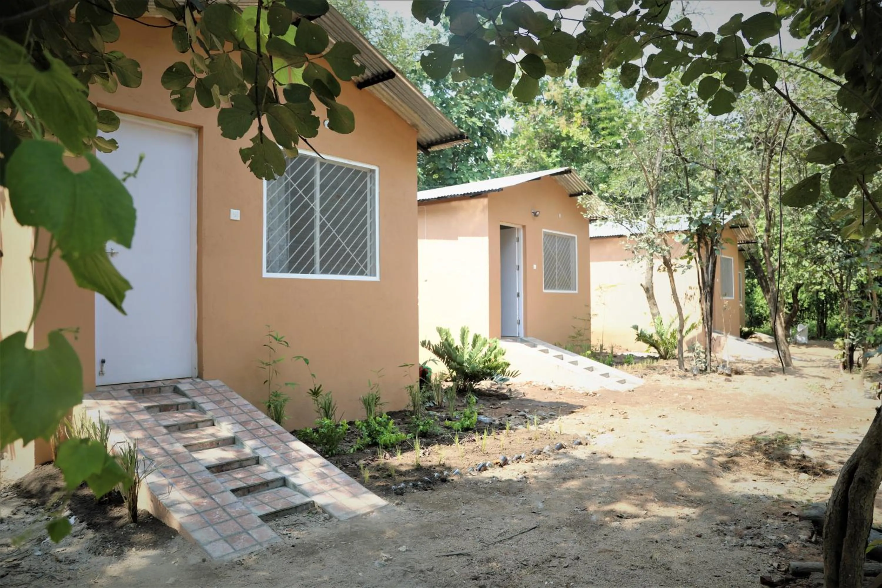 Property building in Tiger N Woods Resort