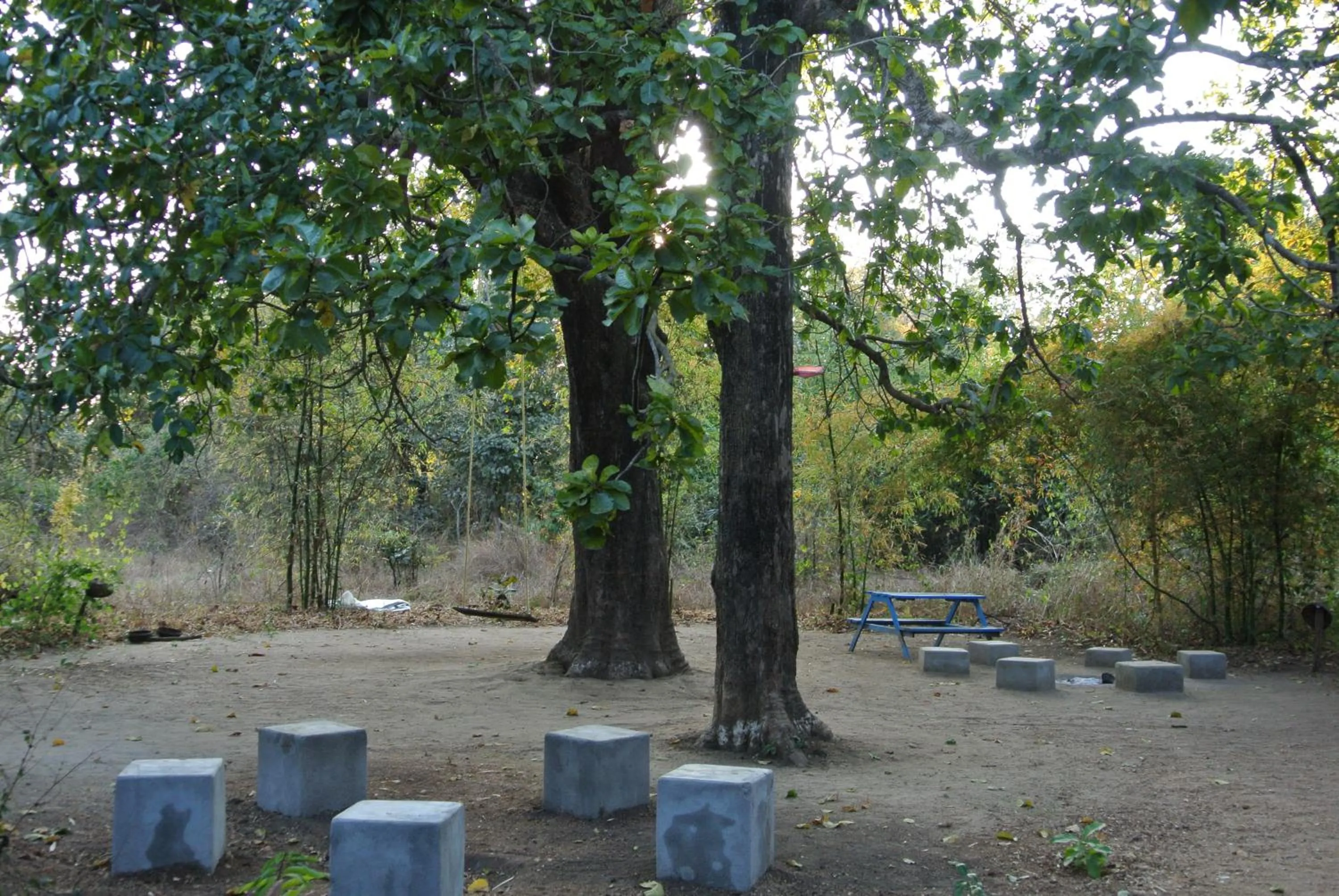 Winter in Tiger N Woods Resort