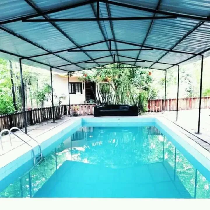 Swimming pool in Tiger N Woods Resort