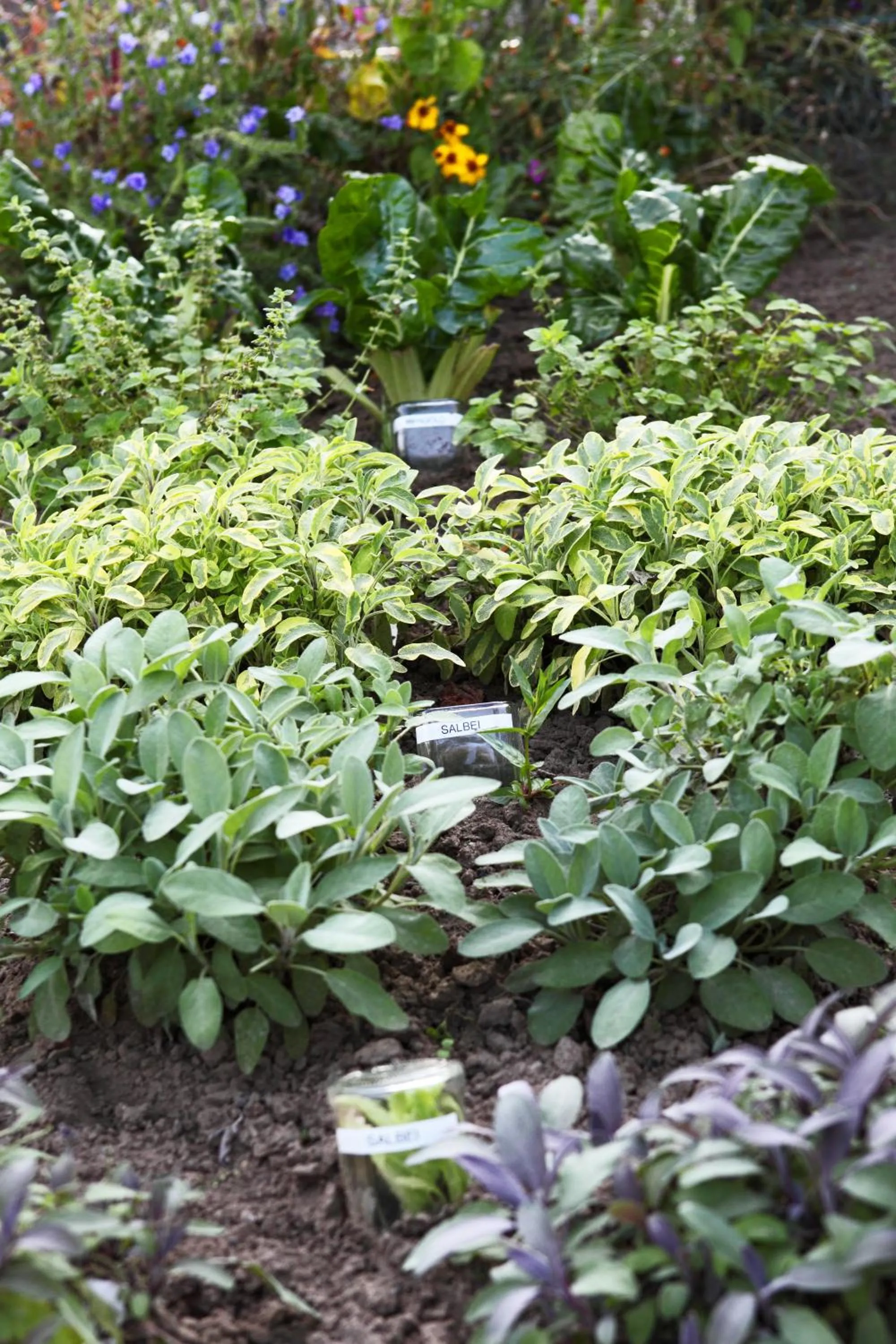 Garden in Landhotel-Restaurant Beckmann