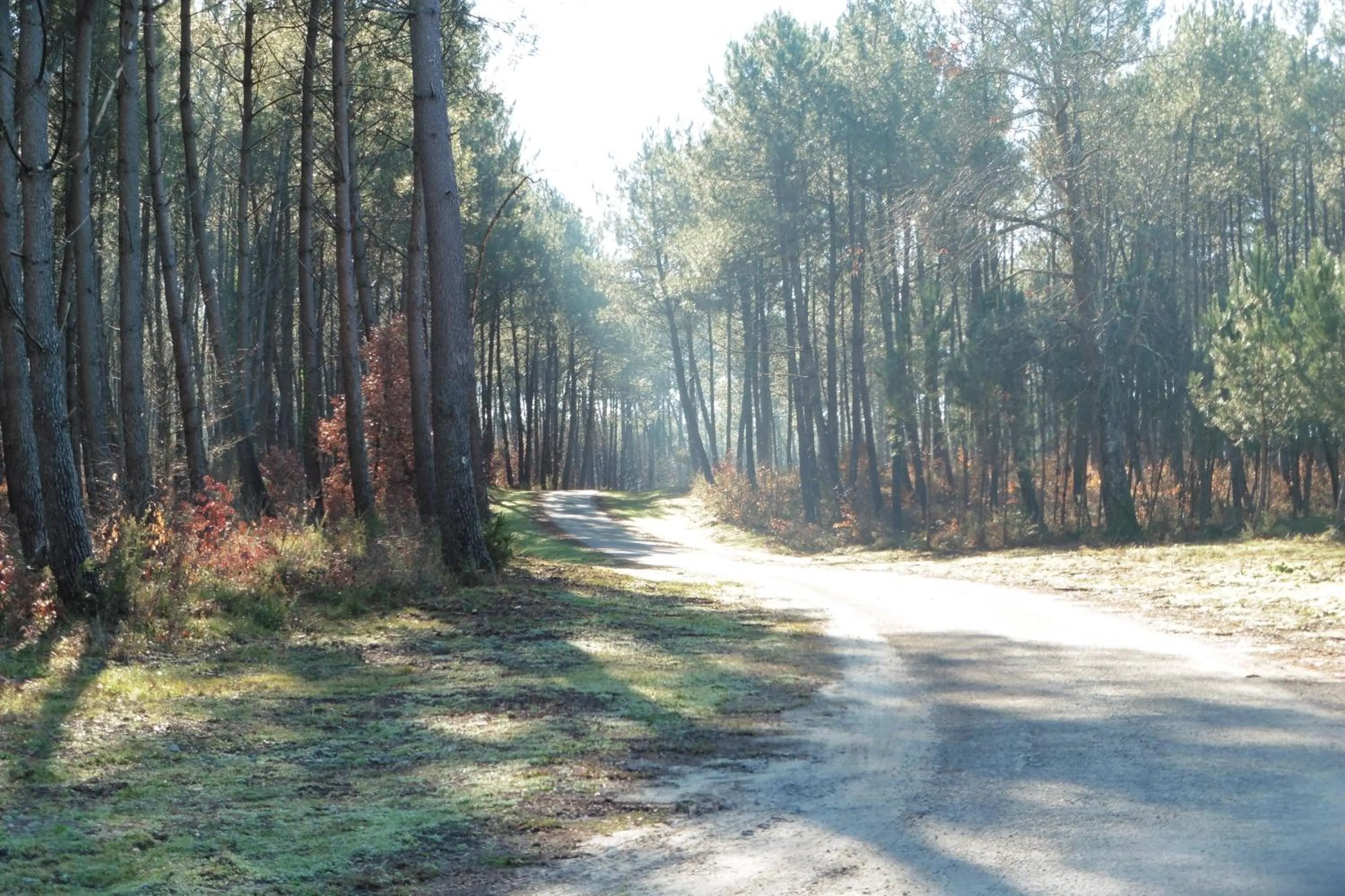 Off site in Domaine Hias