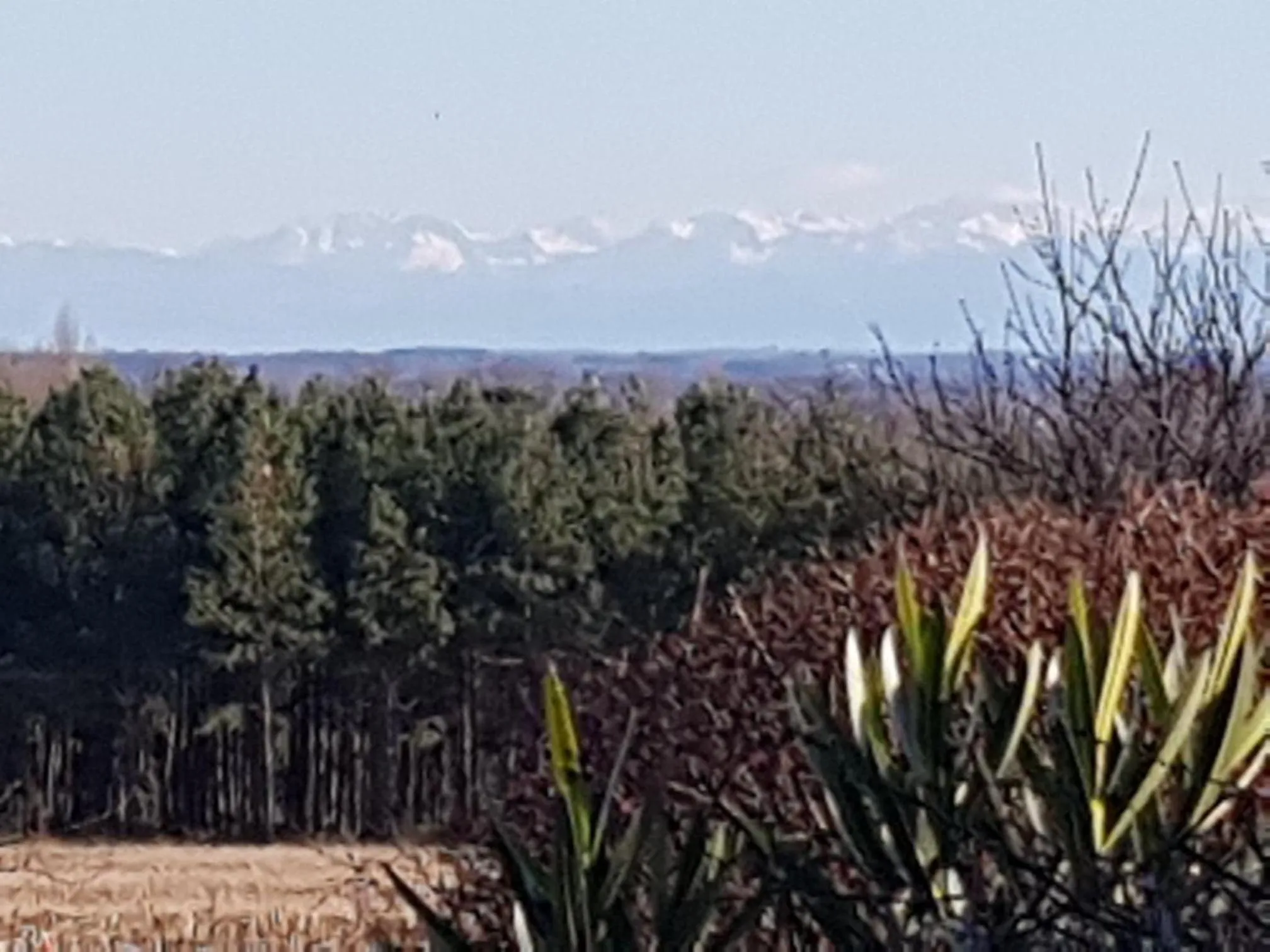 Natural landscape in Domaine Hias