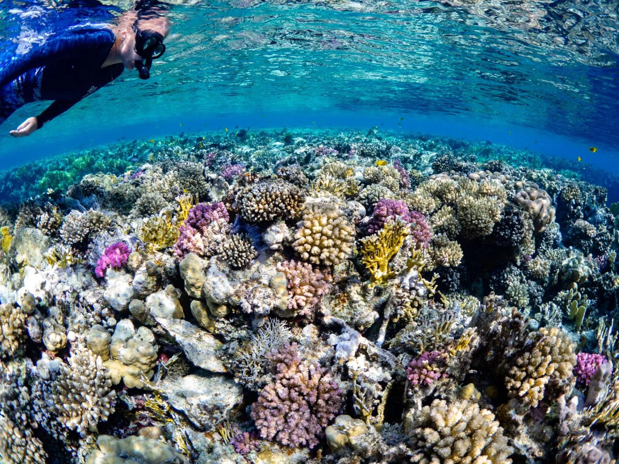 Activities in Marsa Shagra Village